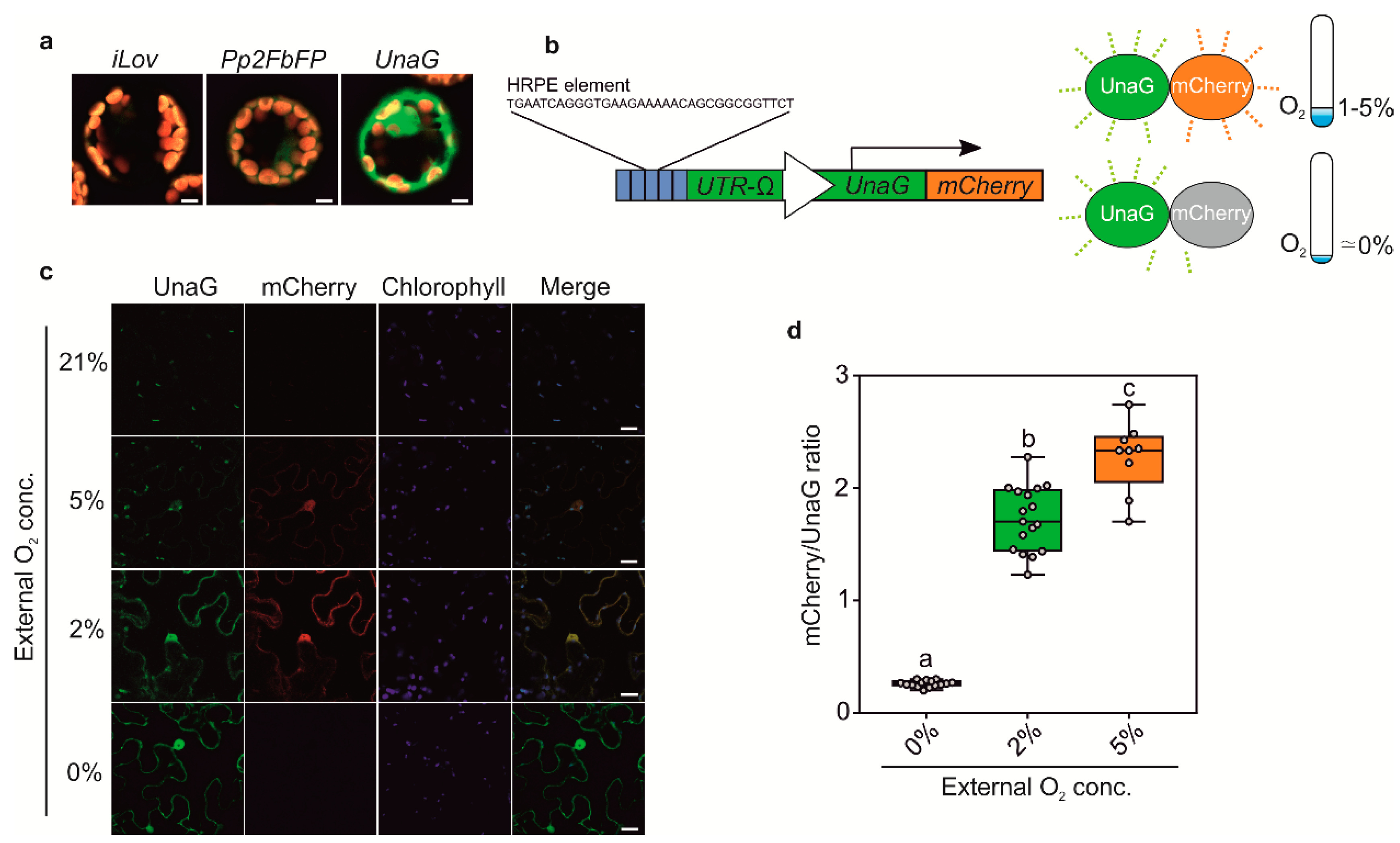 Biosensors 10 00197 g003 Biosensors 10 00197 g003