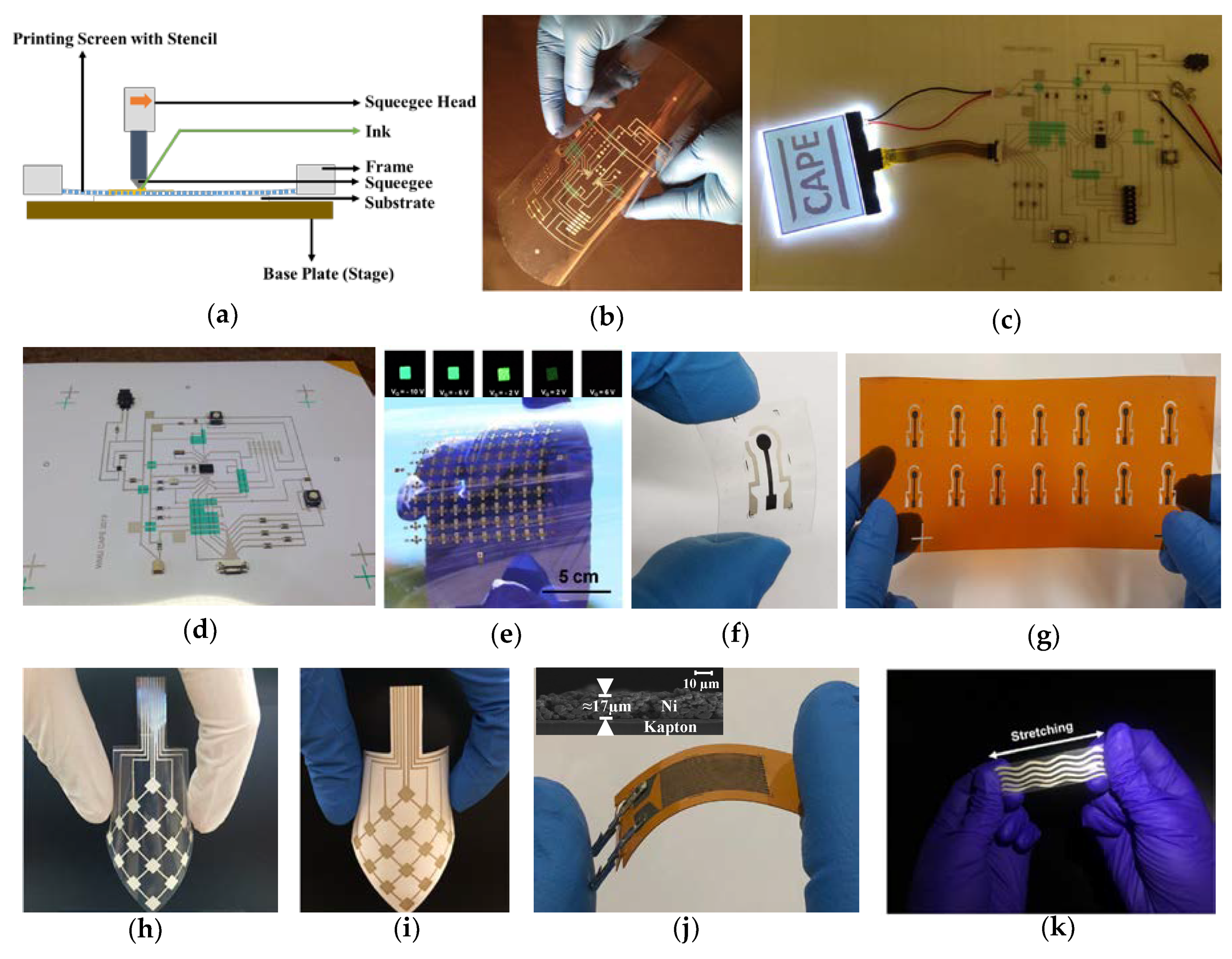 Biosensors 10 00199 g002 Biosensors 10 00199 g002
