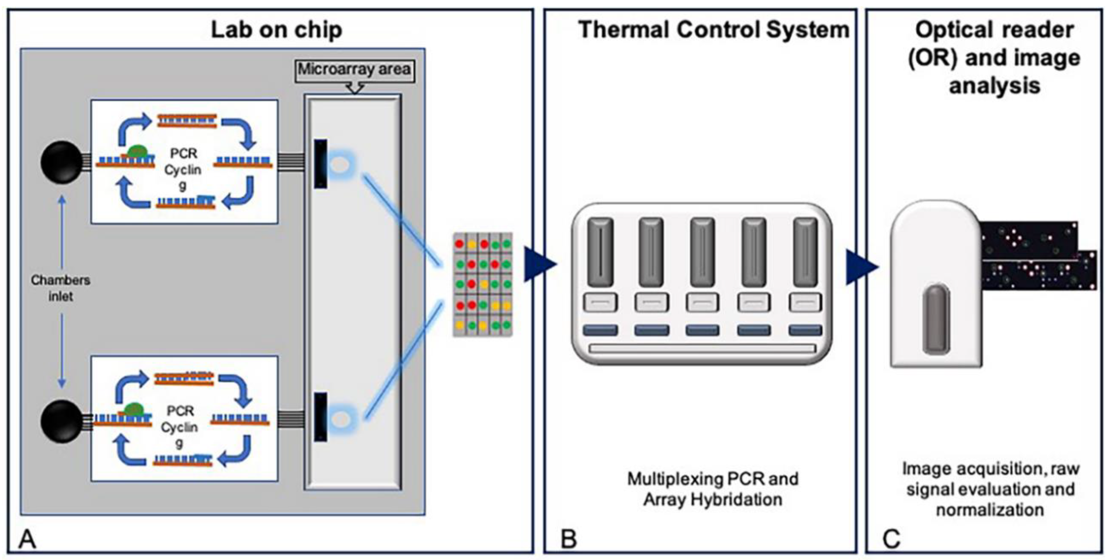 Biosensors 10 00202 g001