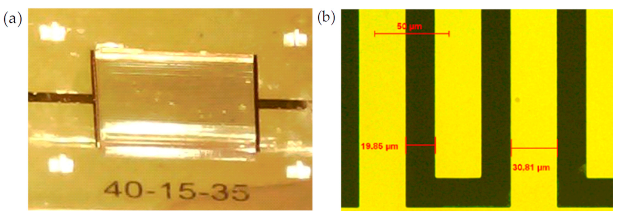 Biosensors 10 00208 g006