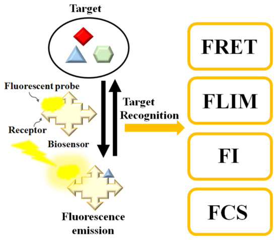 Biosensors 10 00209 g001 550