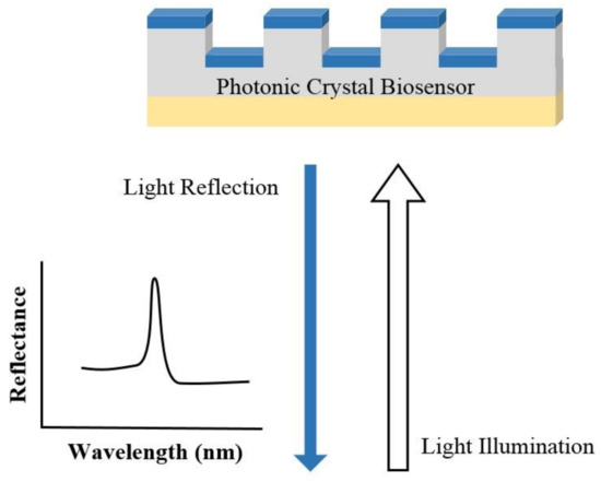 Biosensors 10 00209 g003 550