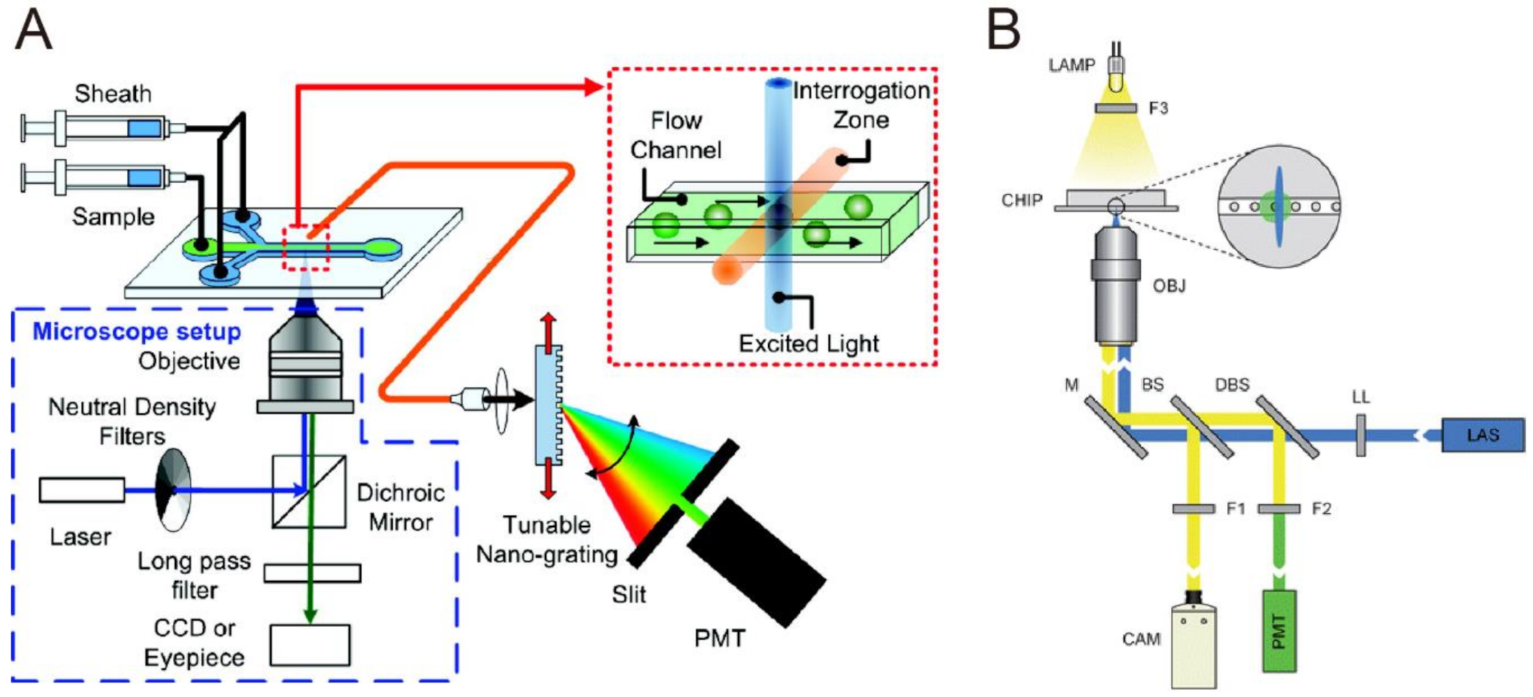Biosensors 10 00209 g007 Biosensors 10 00209 g007