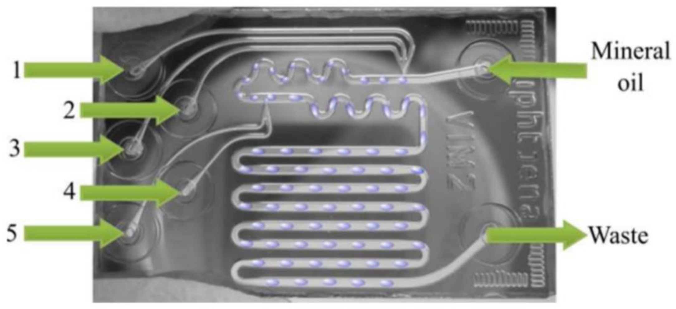 Biosensors 10 00209 g011 Biosensors 10 00209 g011