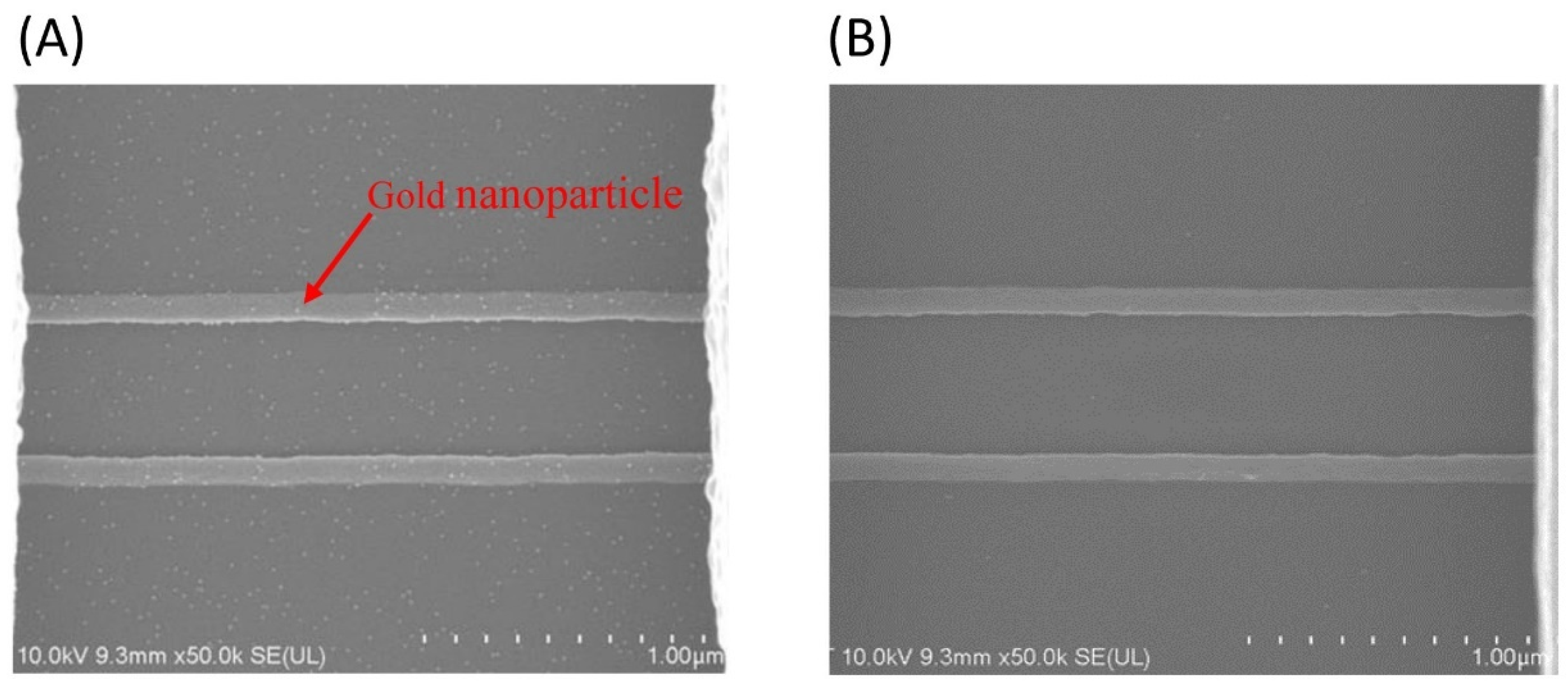 Biosensors 10 00213 g001 Biosensors 10 00213 g001