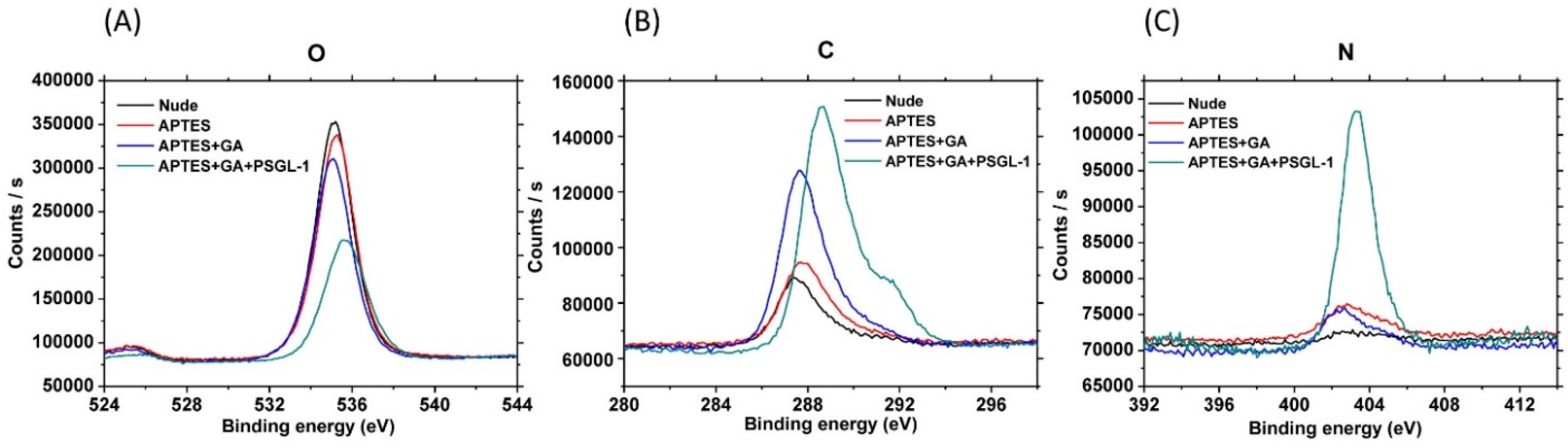 Biosensors 10 00213 g002 Biosensors 10 00213 g002