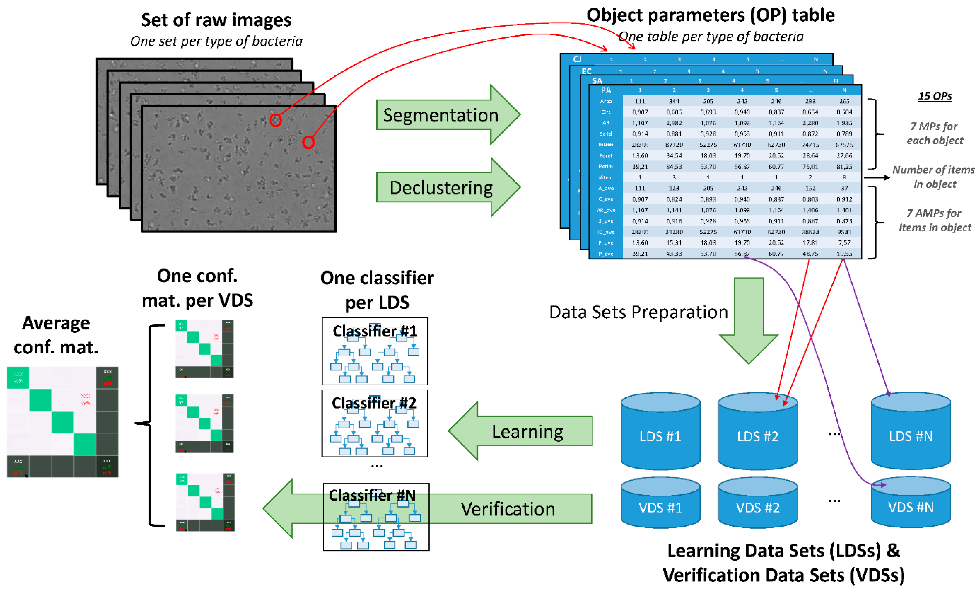 Biosensors 11 00002 g001