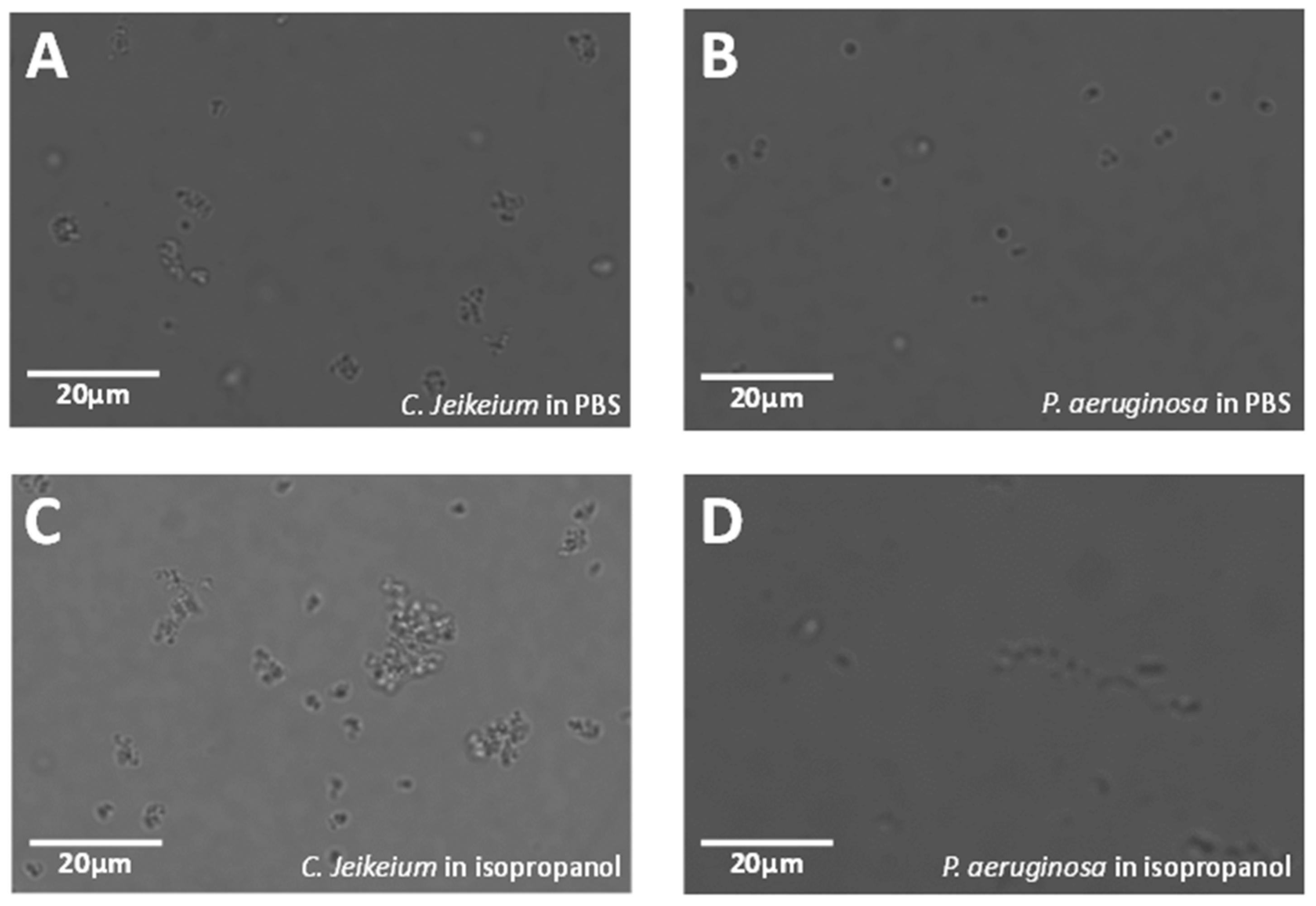 Biosensors 11 00002 g006