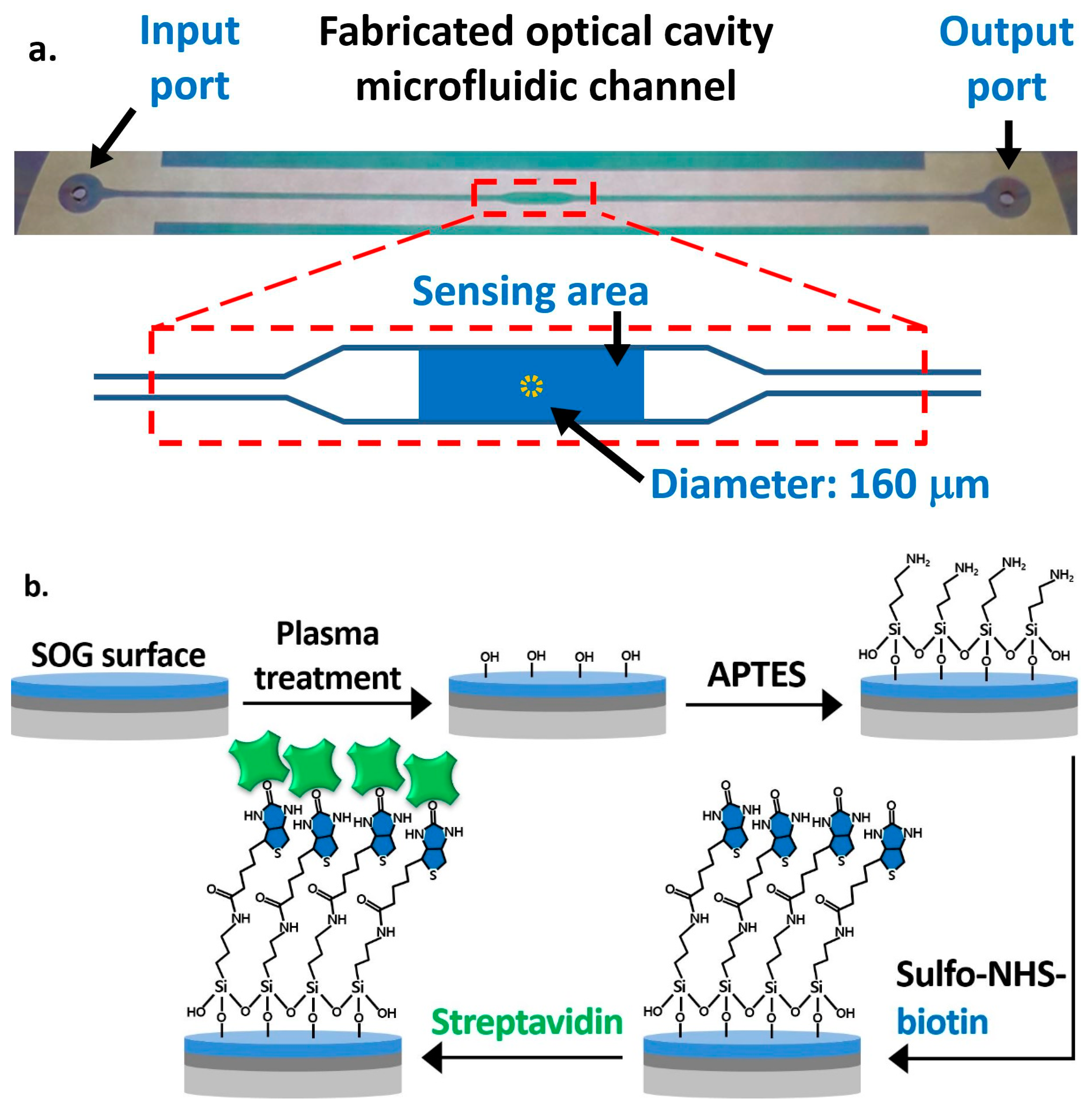 Biosensors 11 00004 g003 Biosensors 11 00004 g003