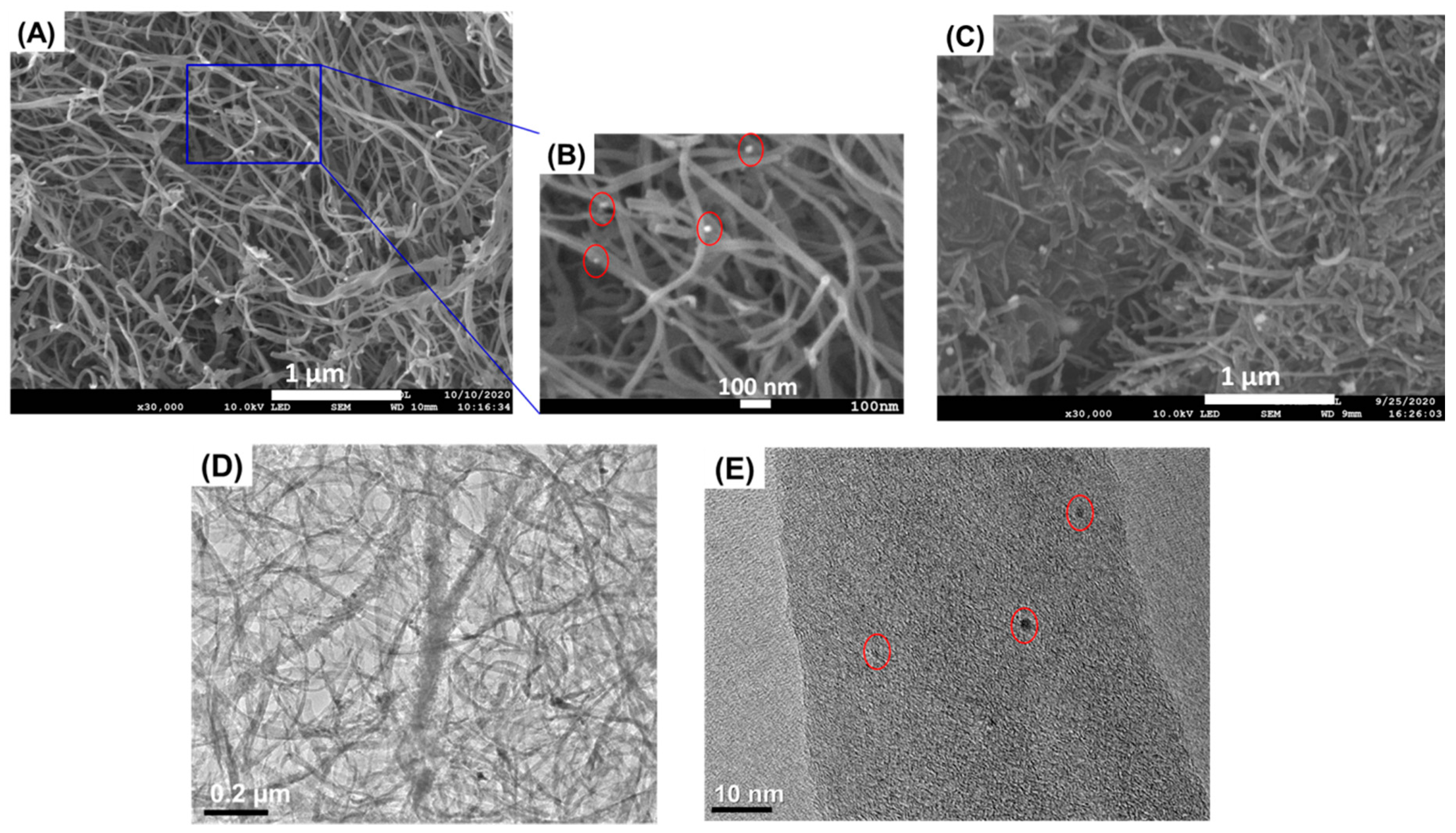 Biosensors 11 00005 g002 Biosensors 11 00005 g002