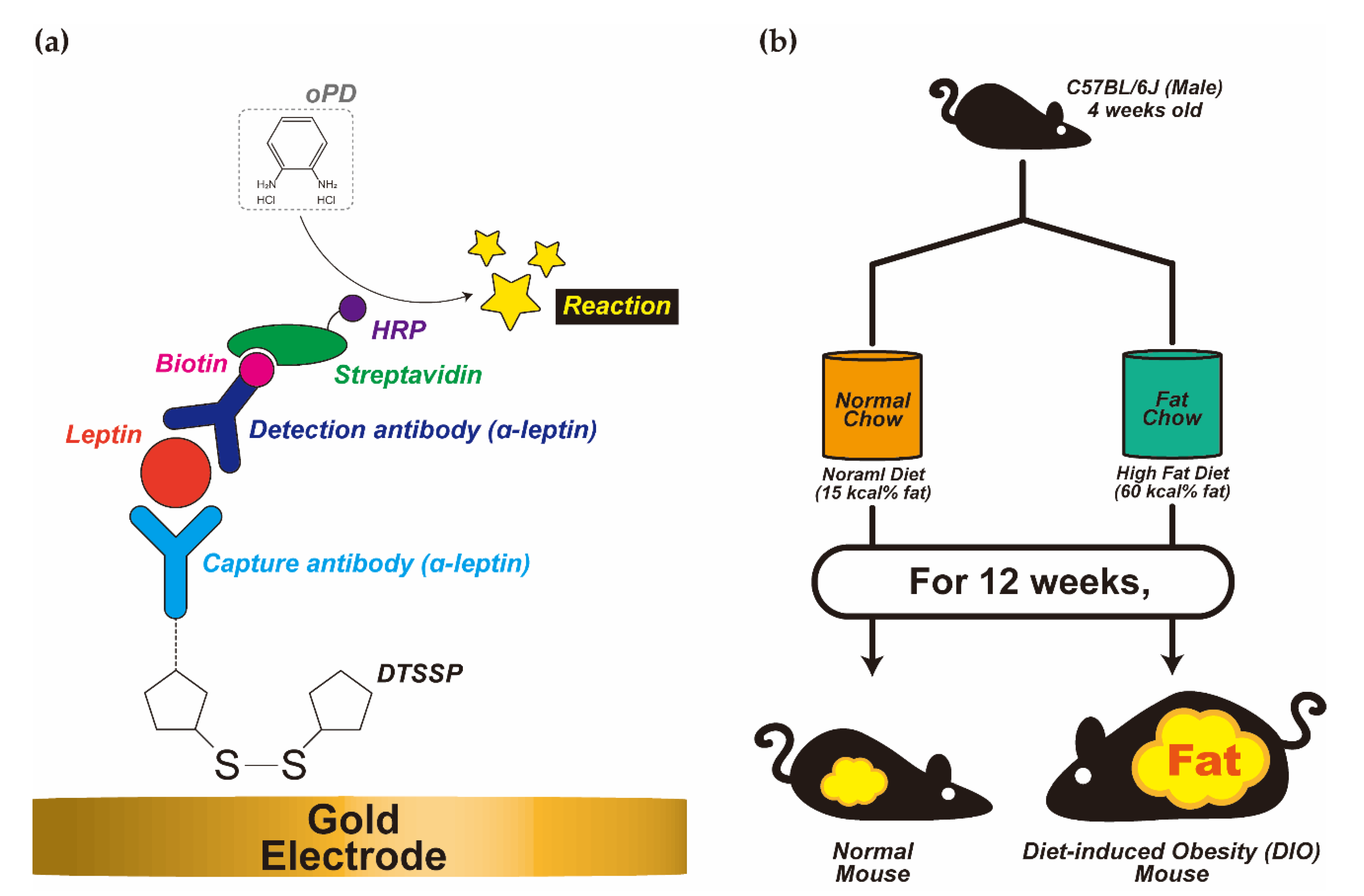 Biosensors 11 00007 sch001 Biosensors 11 00007 sch001