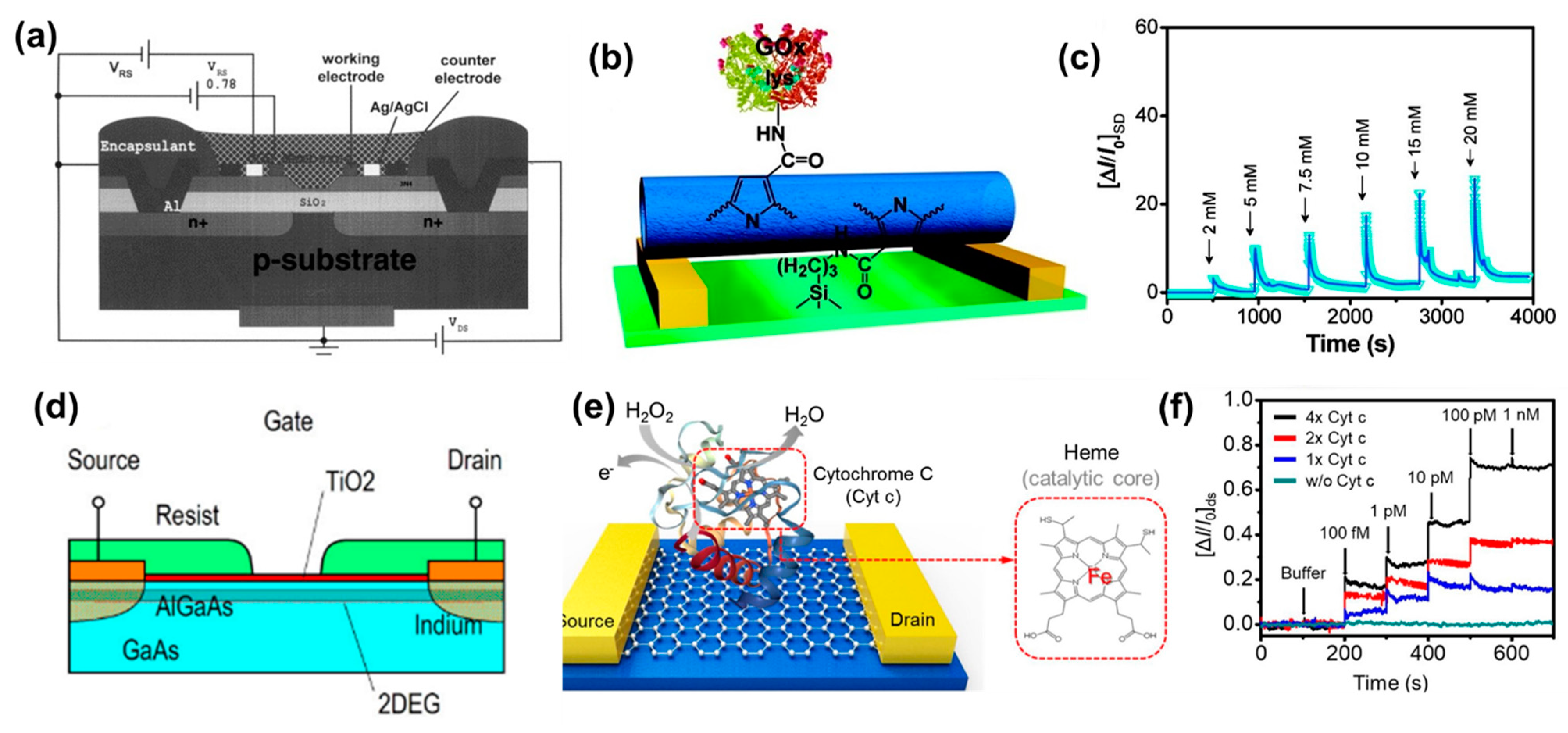 Biosensors 11 00009 g007 Biosensors 11 00009 g007