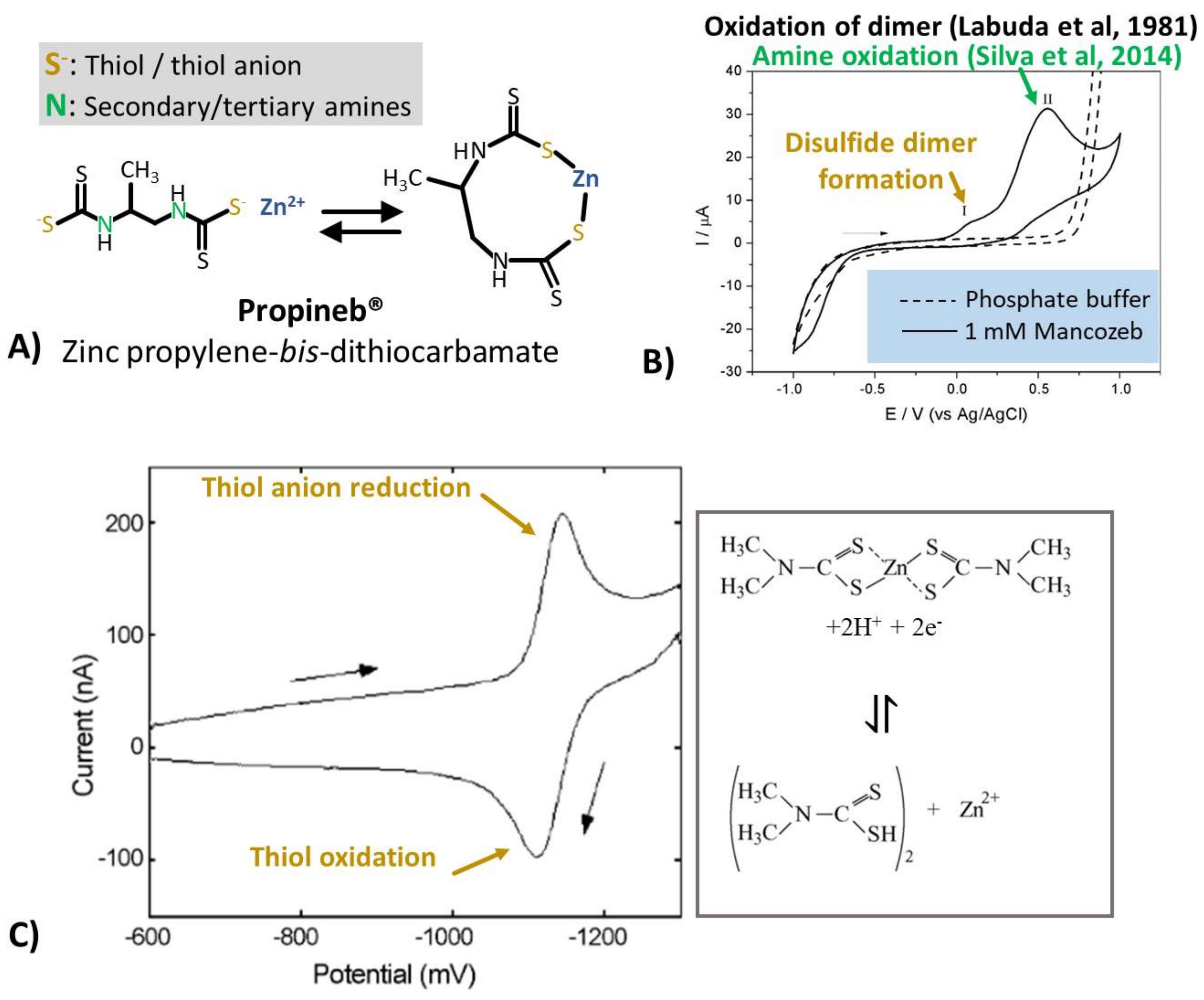 Biosensors 11 00012 g004