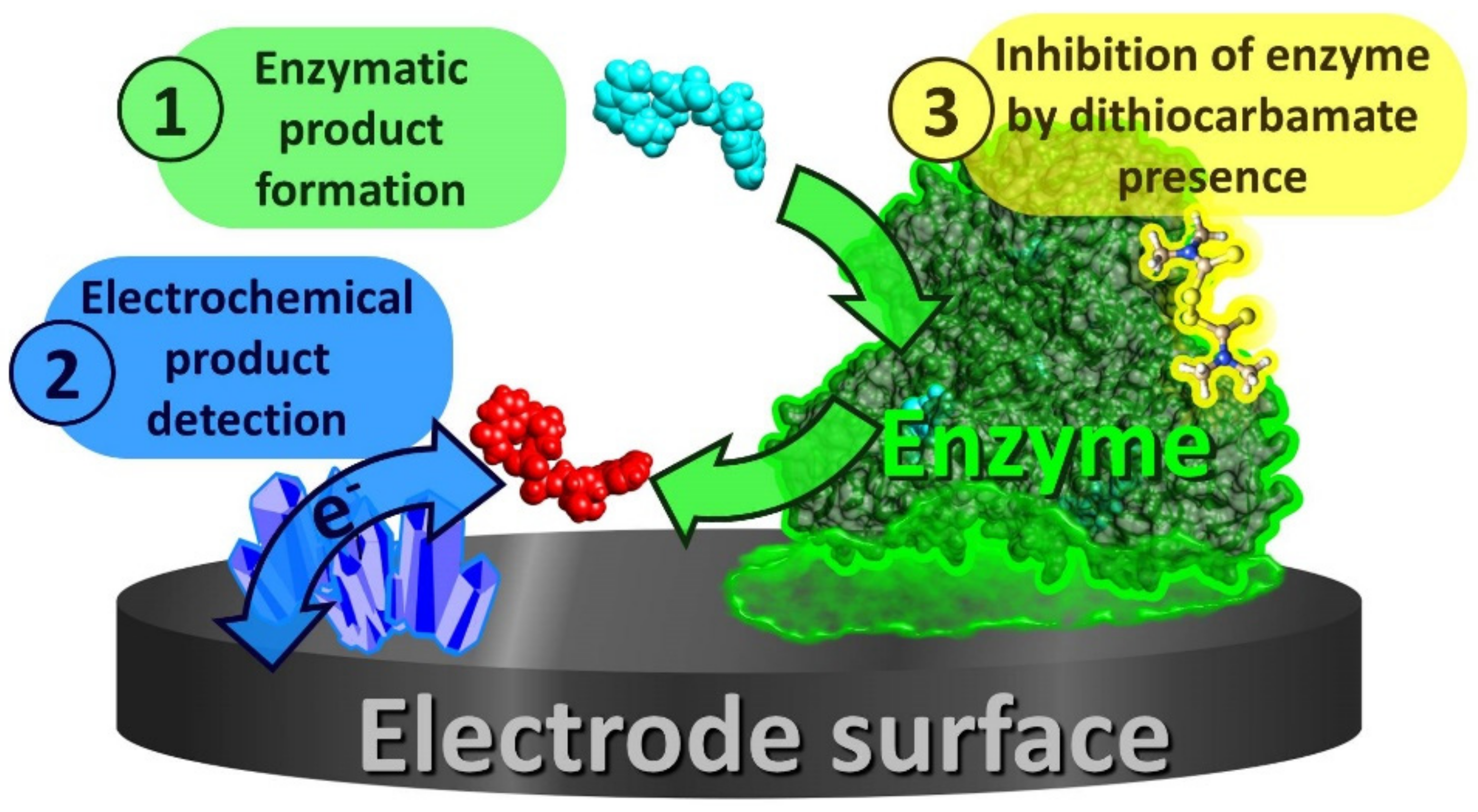 Biosensors 11 00012 g005
