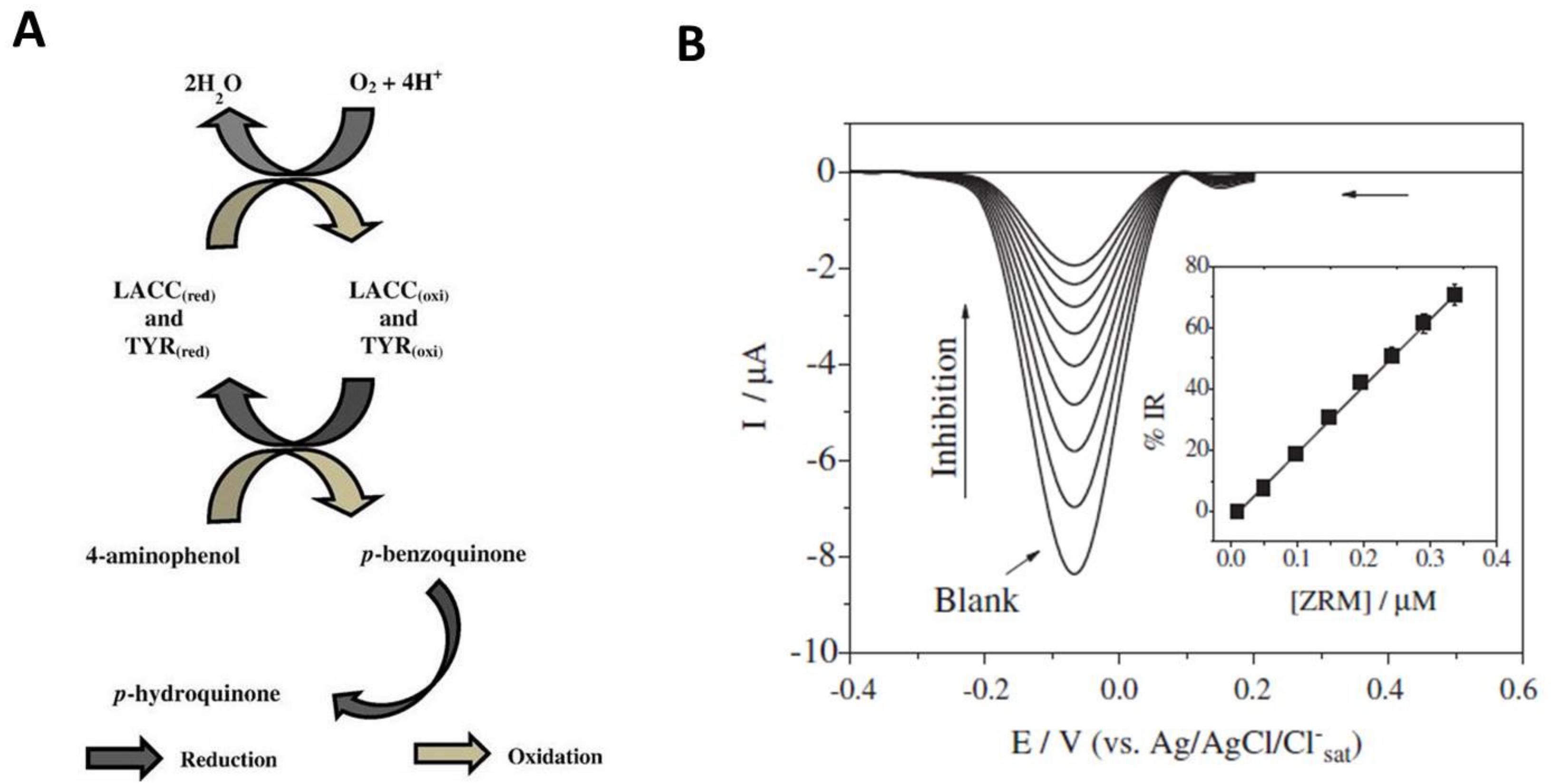 Biosensors 11 00012 g006