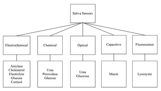 Biosensors 11 00014 g002 550