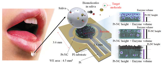 Biosensors 11 00014 g003 550