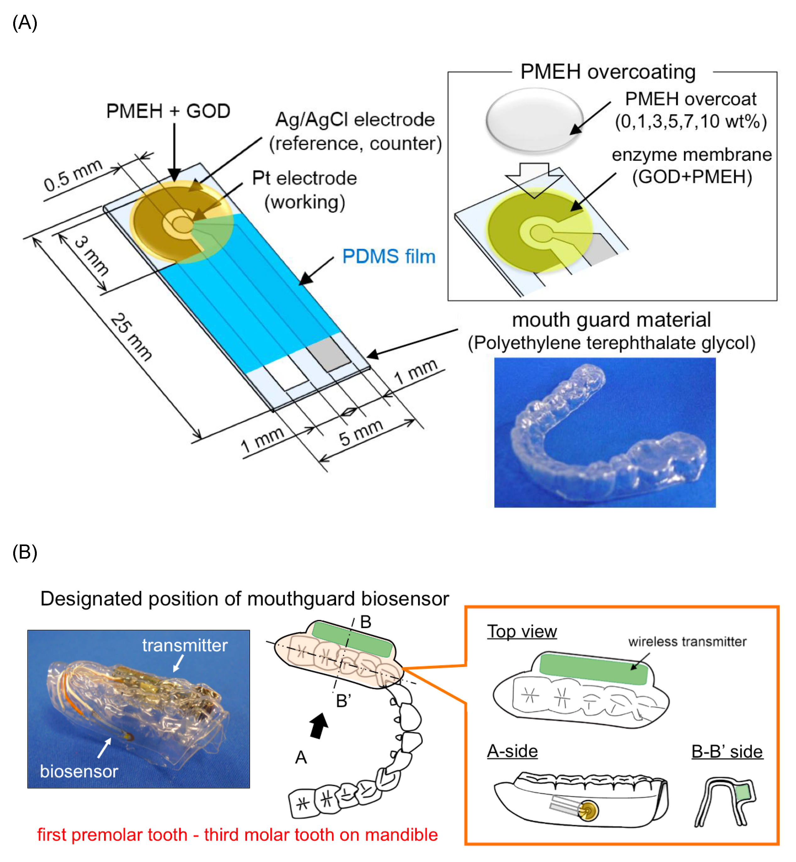 Biosensors 11 00014 g006 Biosensors 11 00014 g006