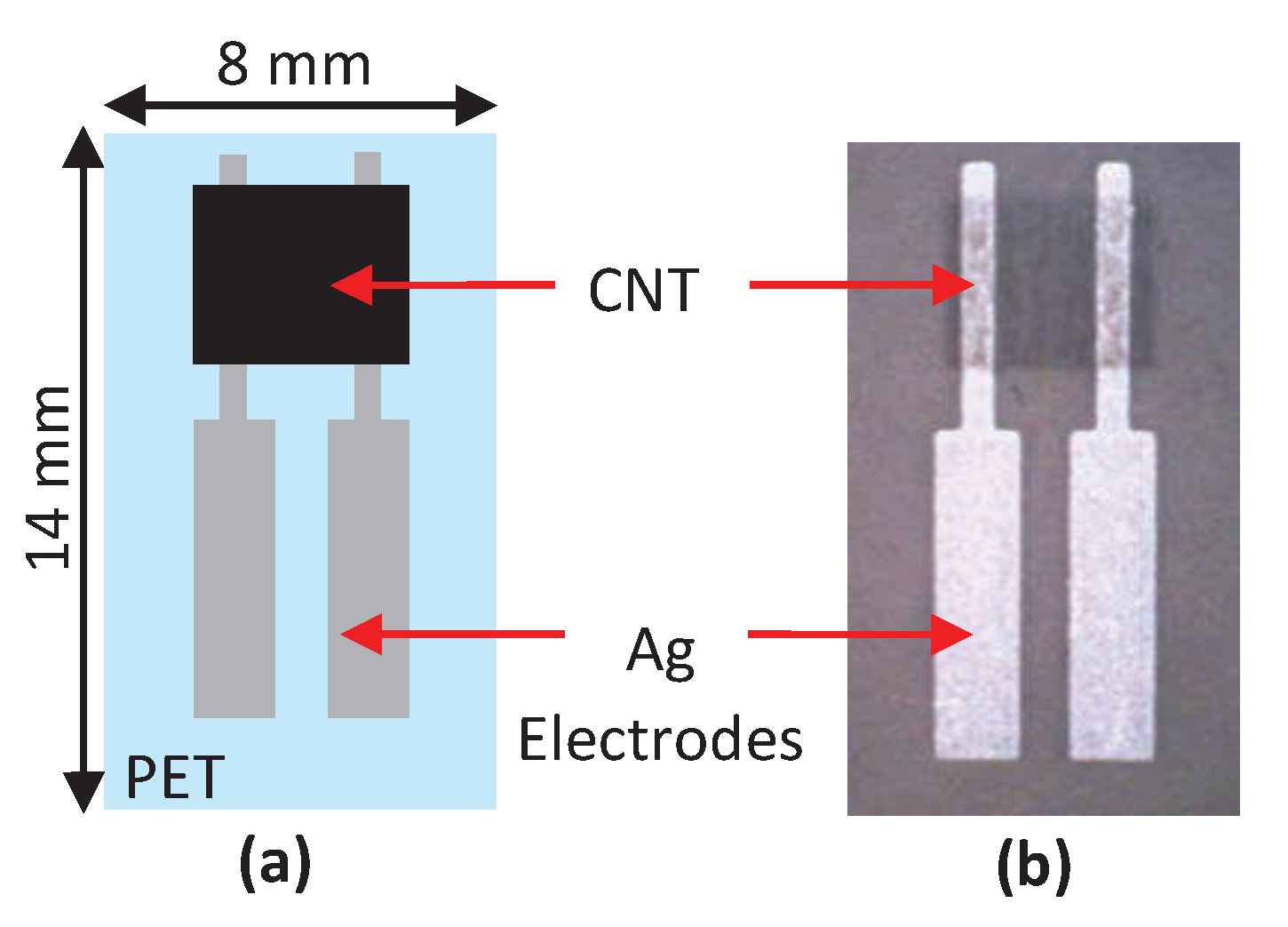 Biosensors 11 00014 g013 Biosensors 11 00014 g013