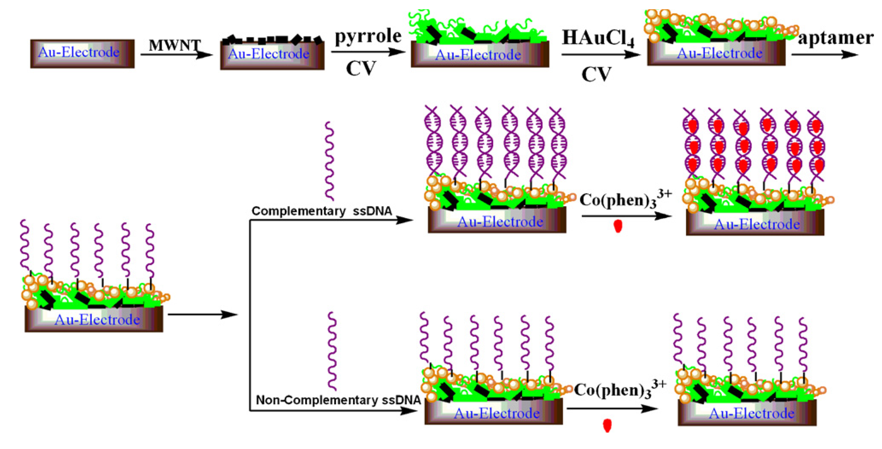 Biosensors 11 00014 g019 Biosensors 11 00014 g019