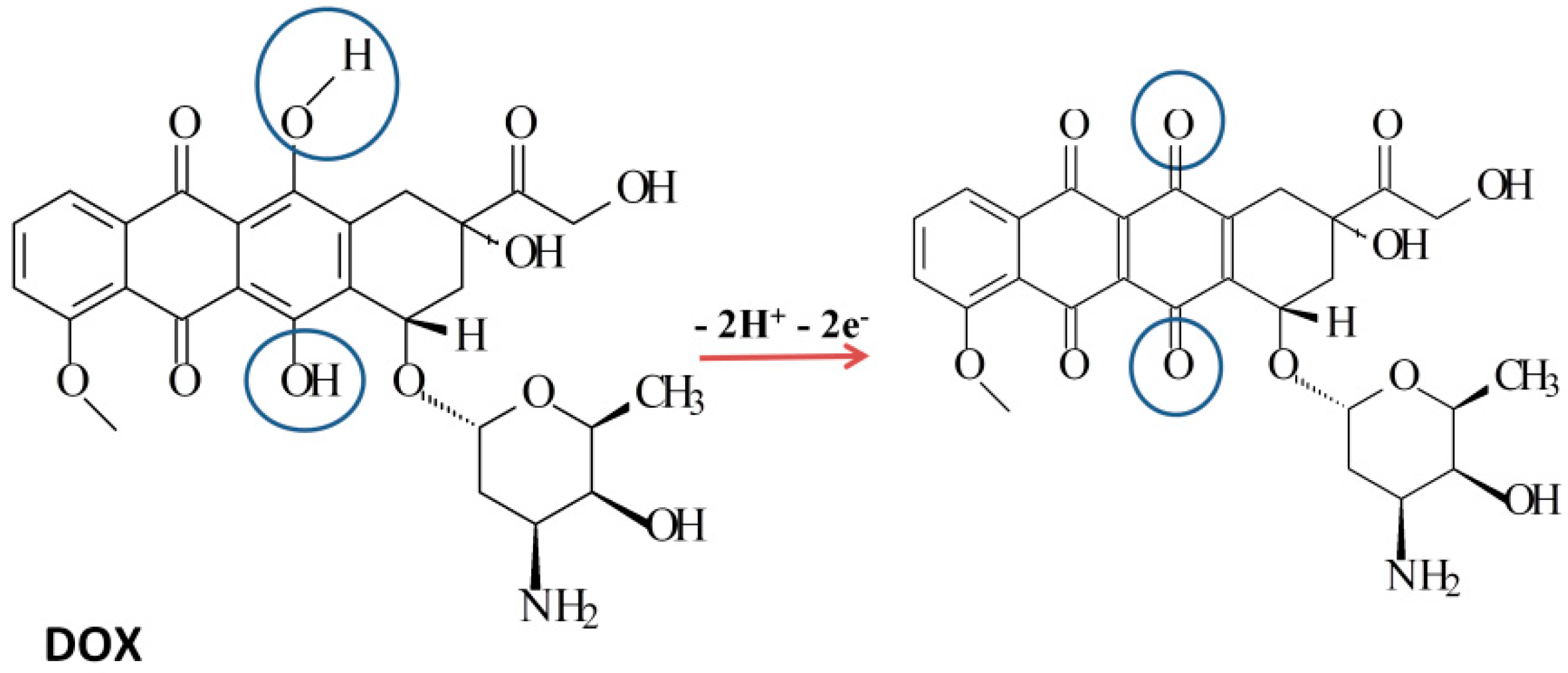 Biosensors 11 00015 g003