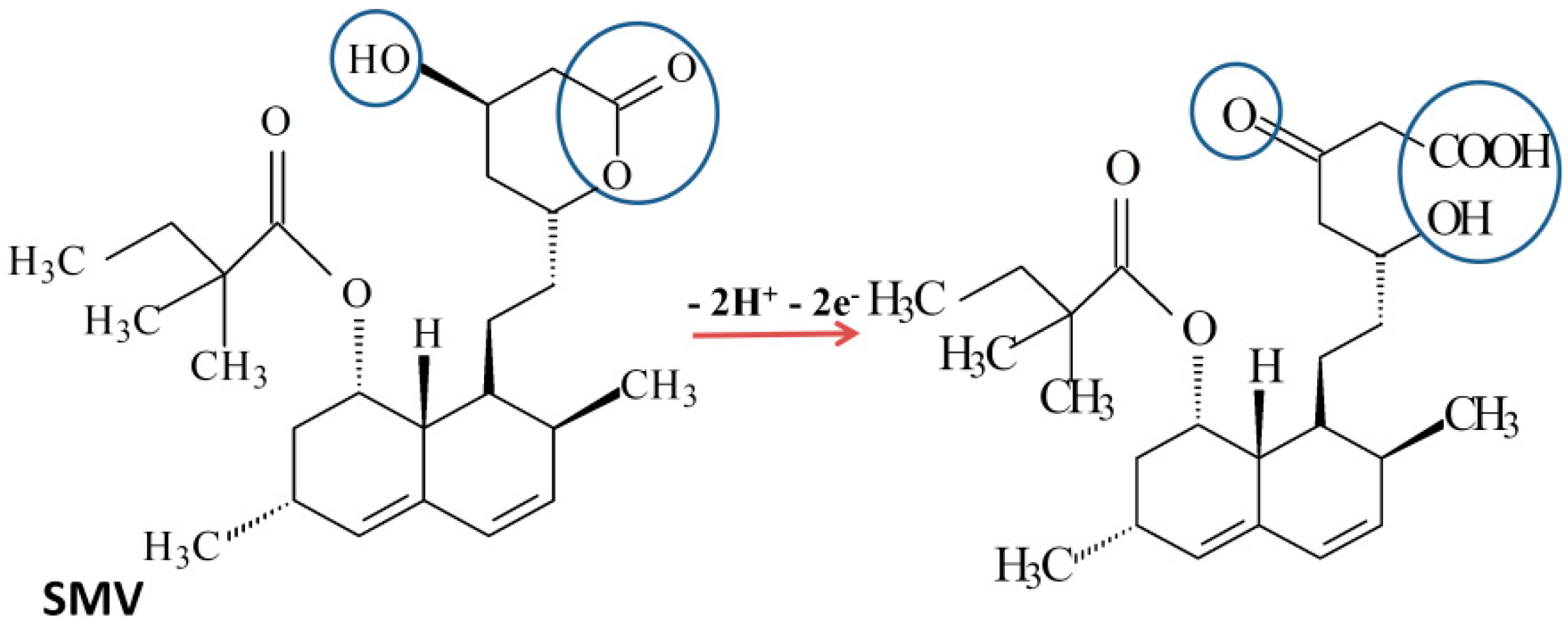 Biosensors 11 00015 g004