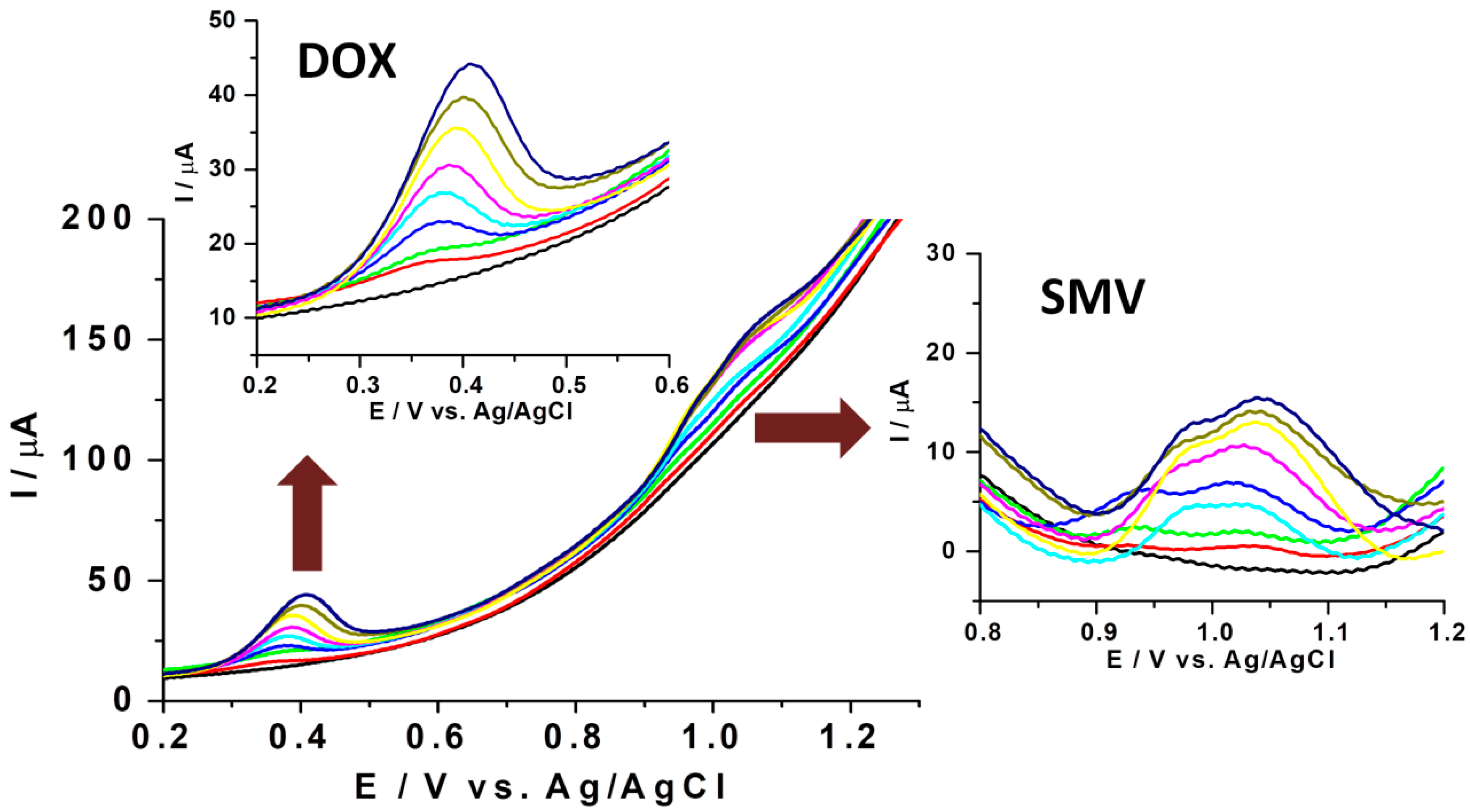 Biosensors 11 00015 g007
