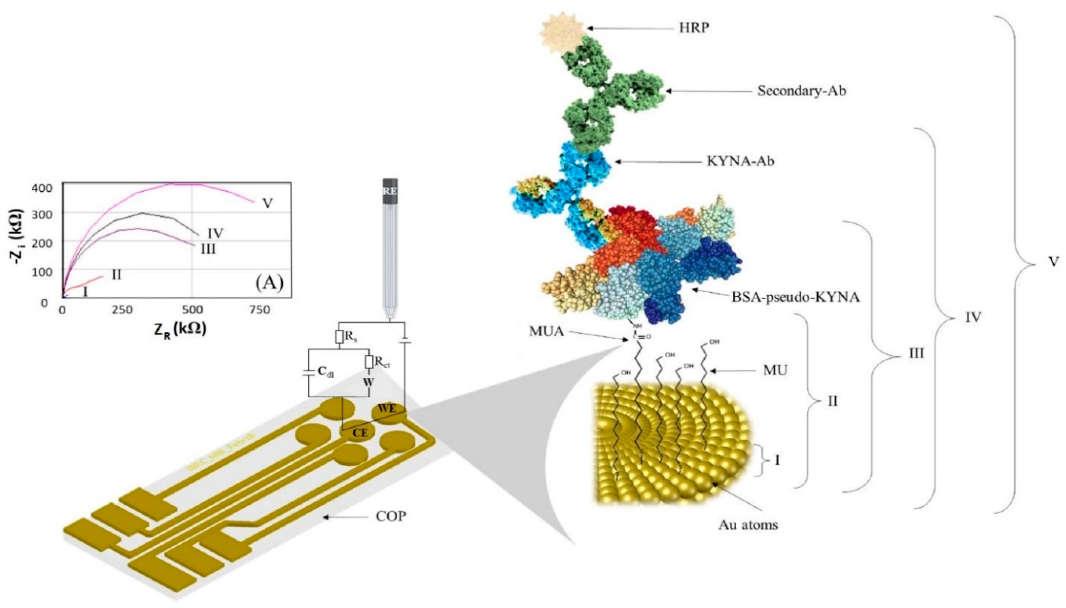 Biosensors 11 00020 g001 Biosensors 11 00020 g001