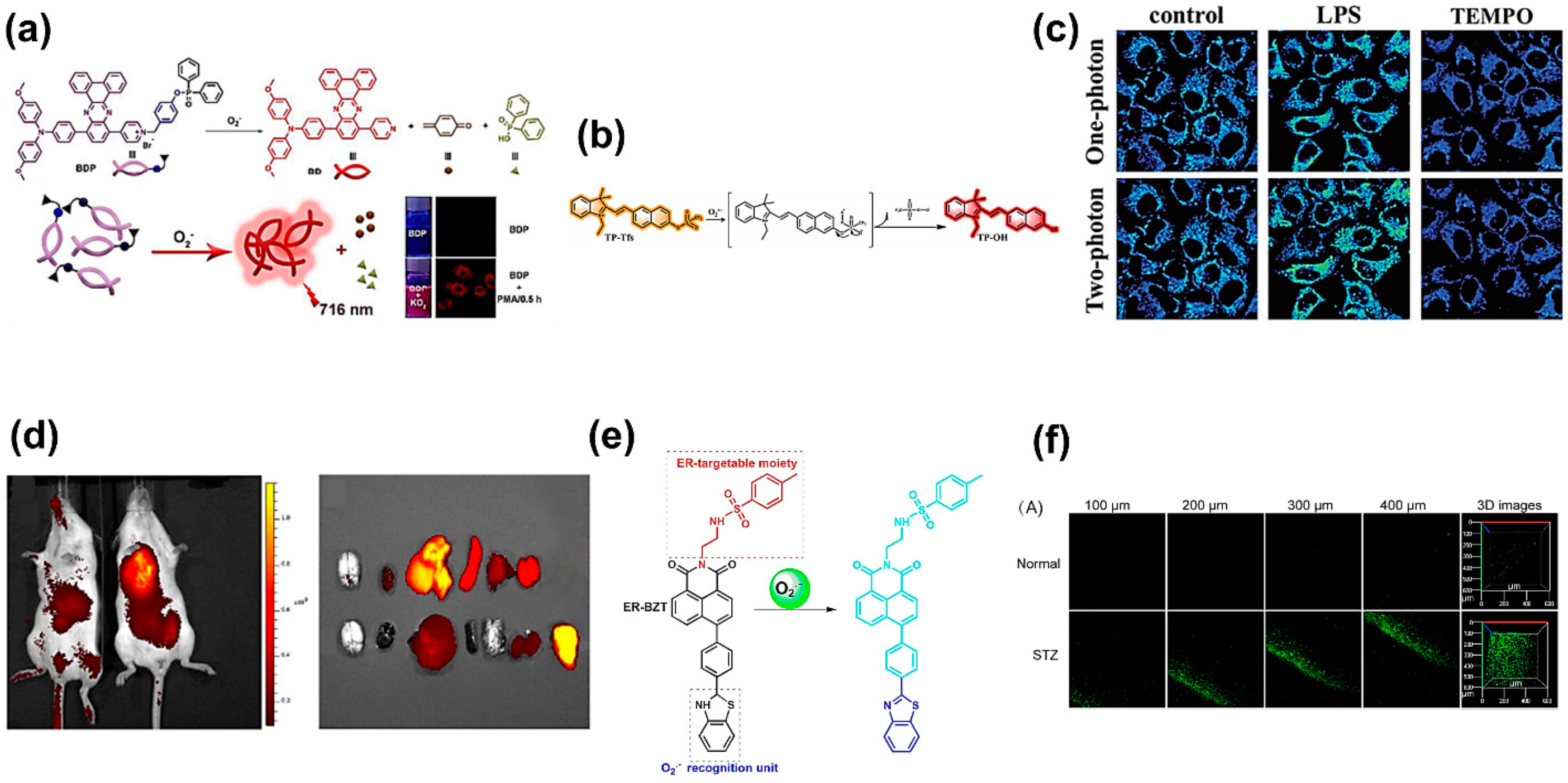Biosensors 11 00030 g002 Biosensors 11 00030 g002