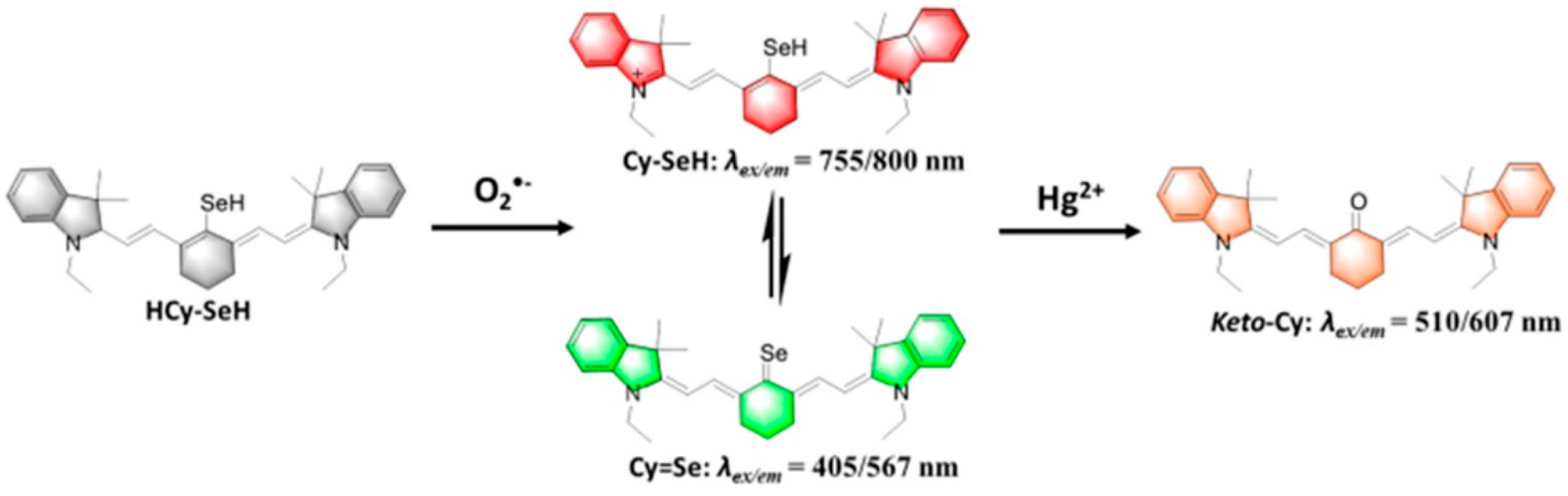 Biosensors 11 00030 g004 Biosensors 11 00030 g004