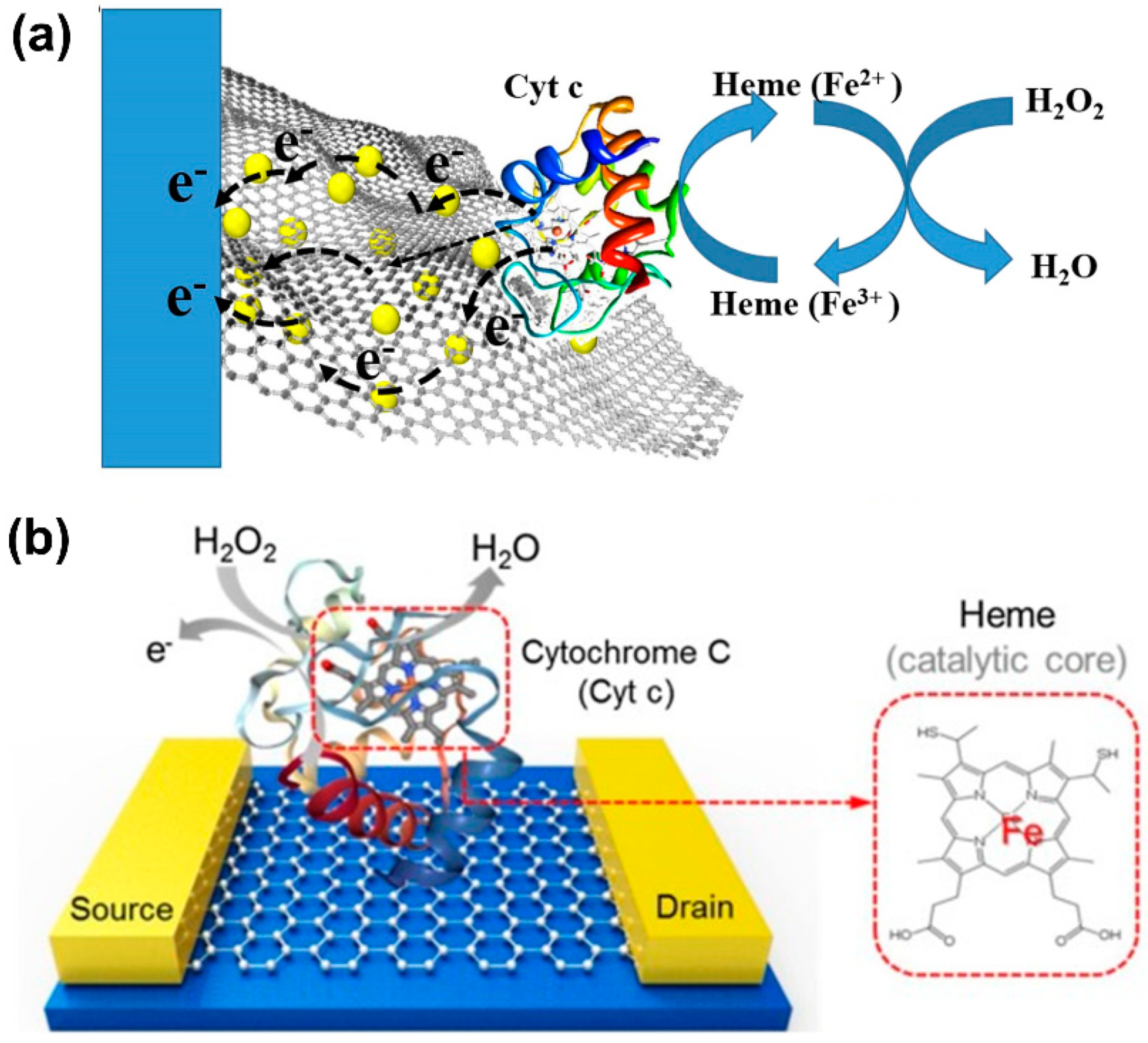 Biosensors 11 00030 g009 Biosensors 11 00030 g009