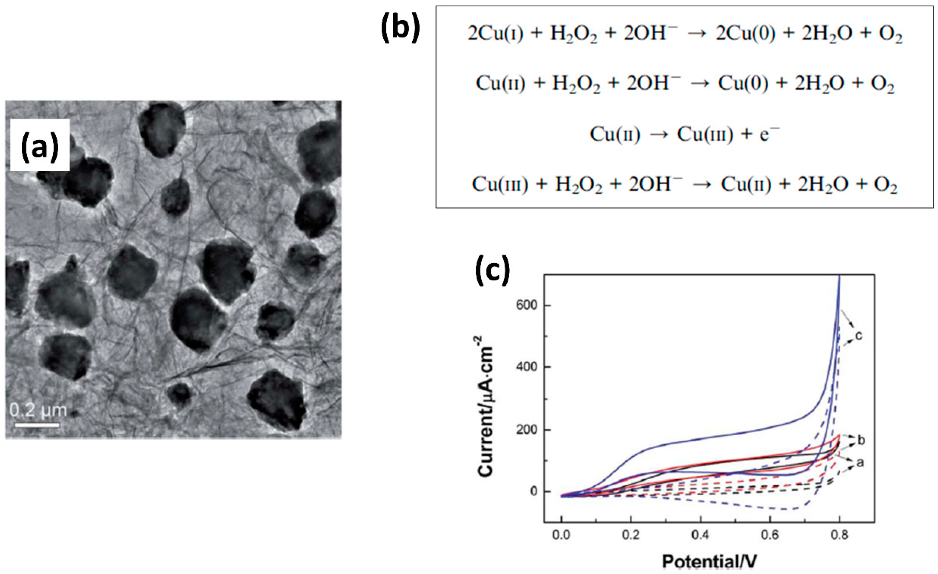 Biosensors 11 00030 g010 Biosensors 11 00030 g010