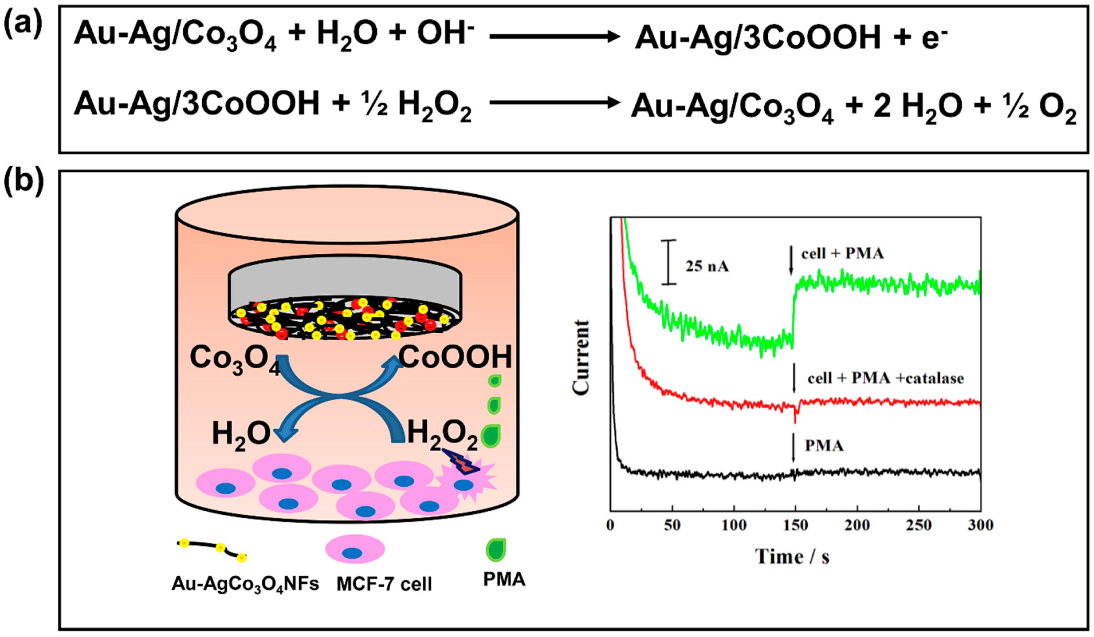 Biosensors 11 00030 g011 Biosensors 11 00030 g011