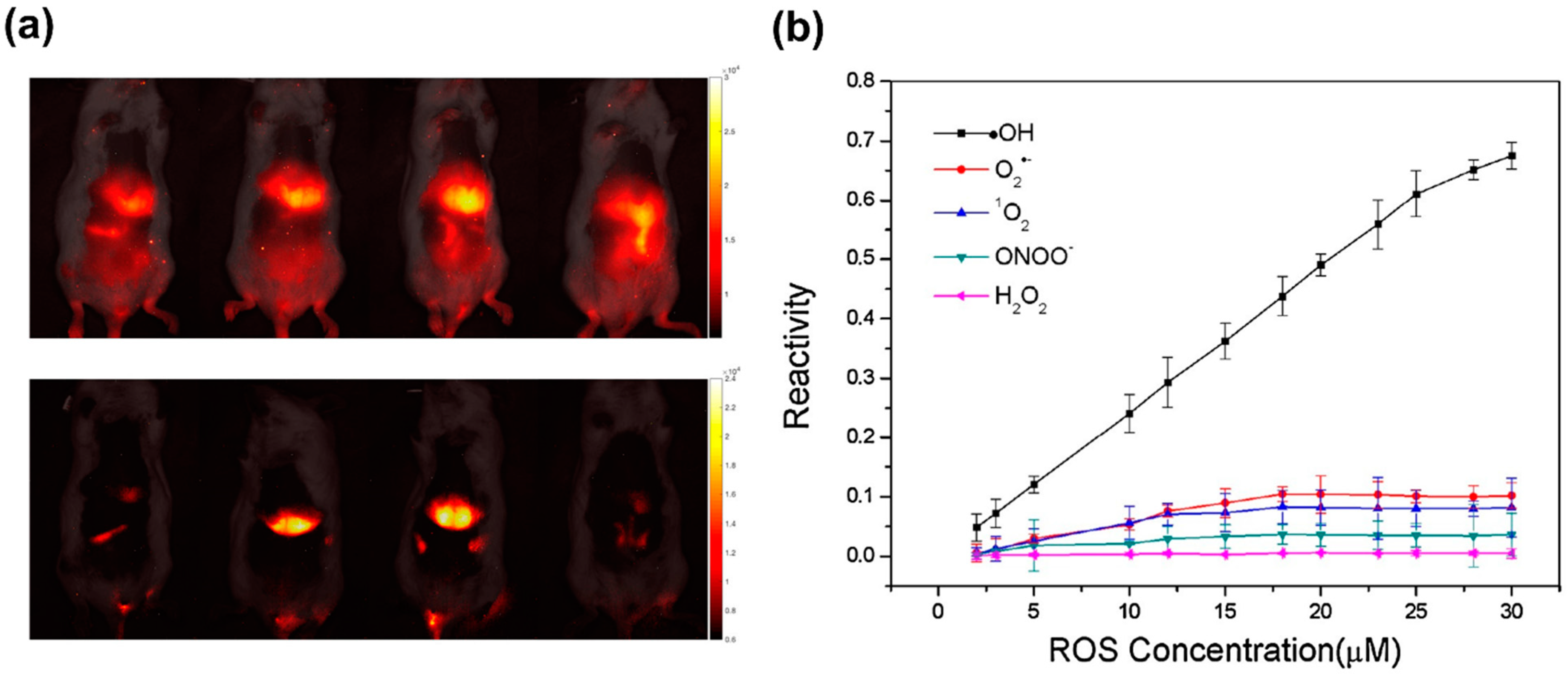 Biosensors 11 00030 g012 Biosensors 11 00030 g012