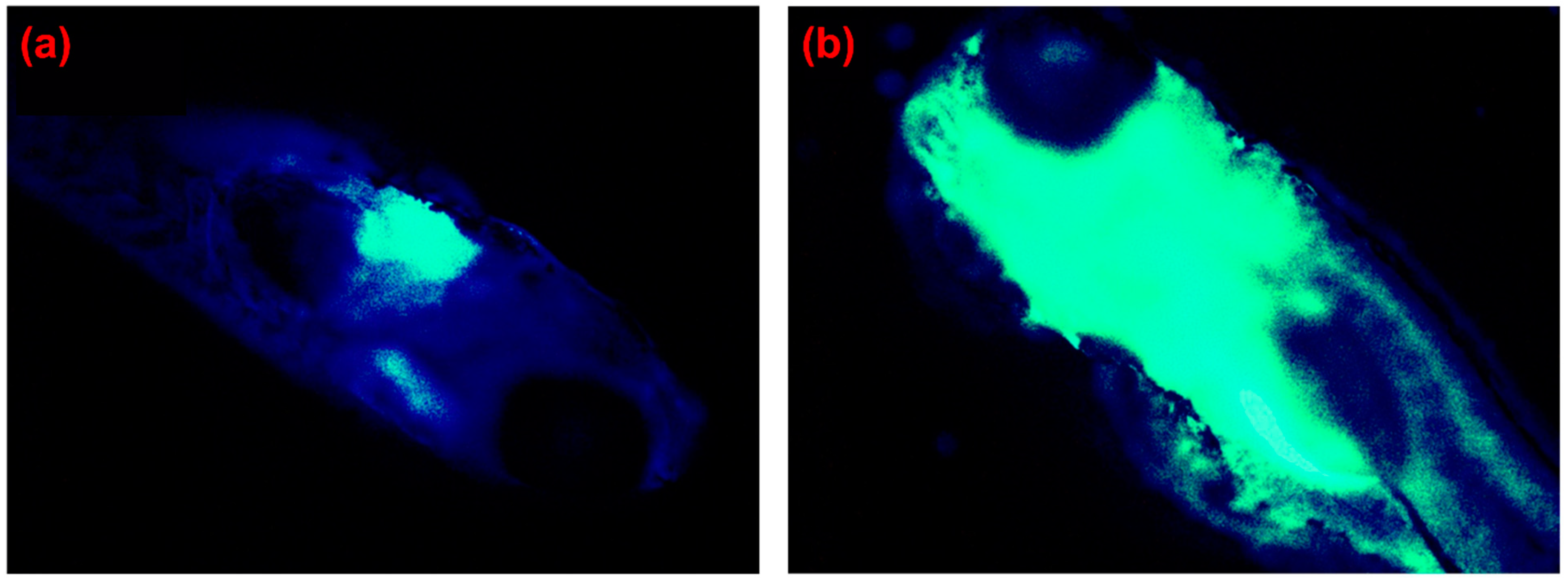 Biosensors 11 00030 g013 Biosensors 11 00030 g013
