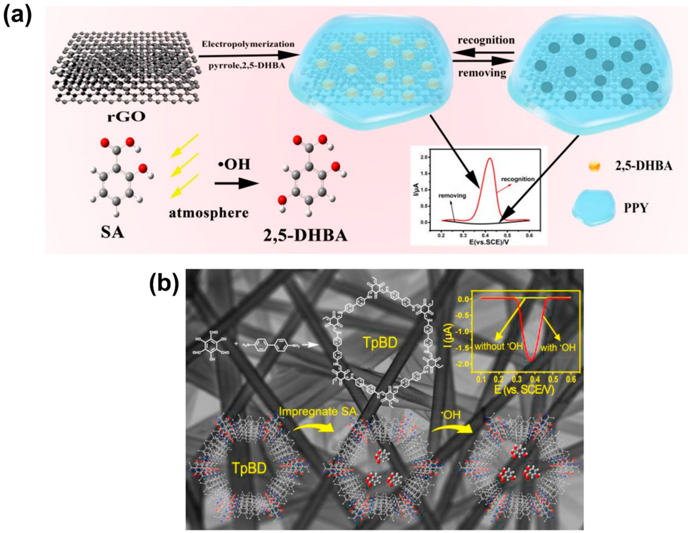 Biosensors 11 00030 g014 Biosensors 11 00030 g014