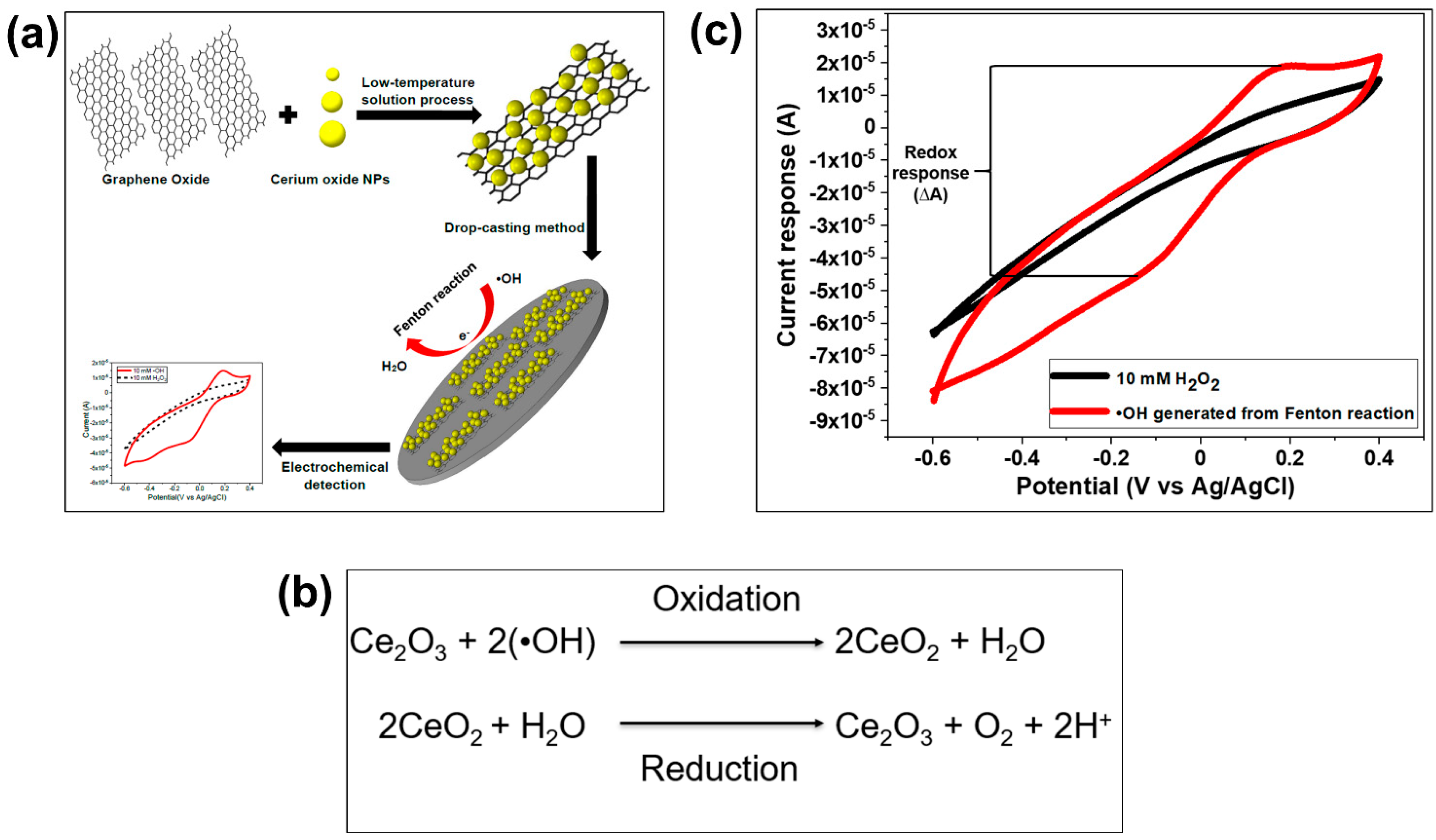 Biosensors 11 00030 g015 Biosensors 11 00030 g015
