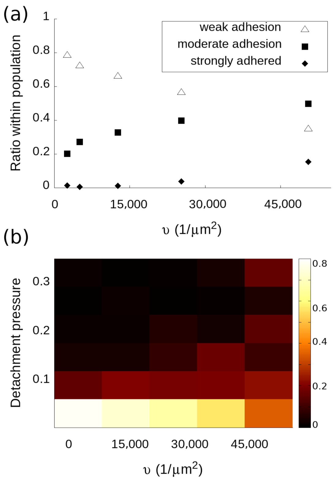 Biosensors 11 00032 g004 Biosensors 11 00032 g004