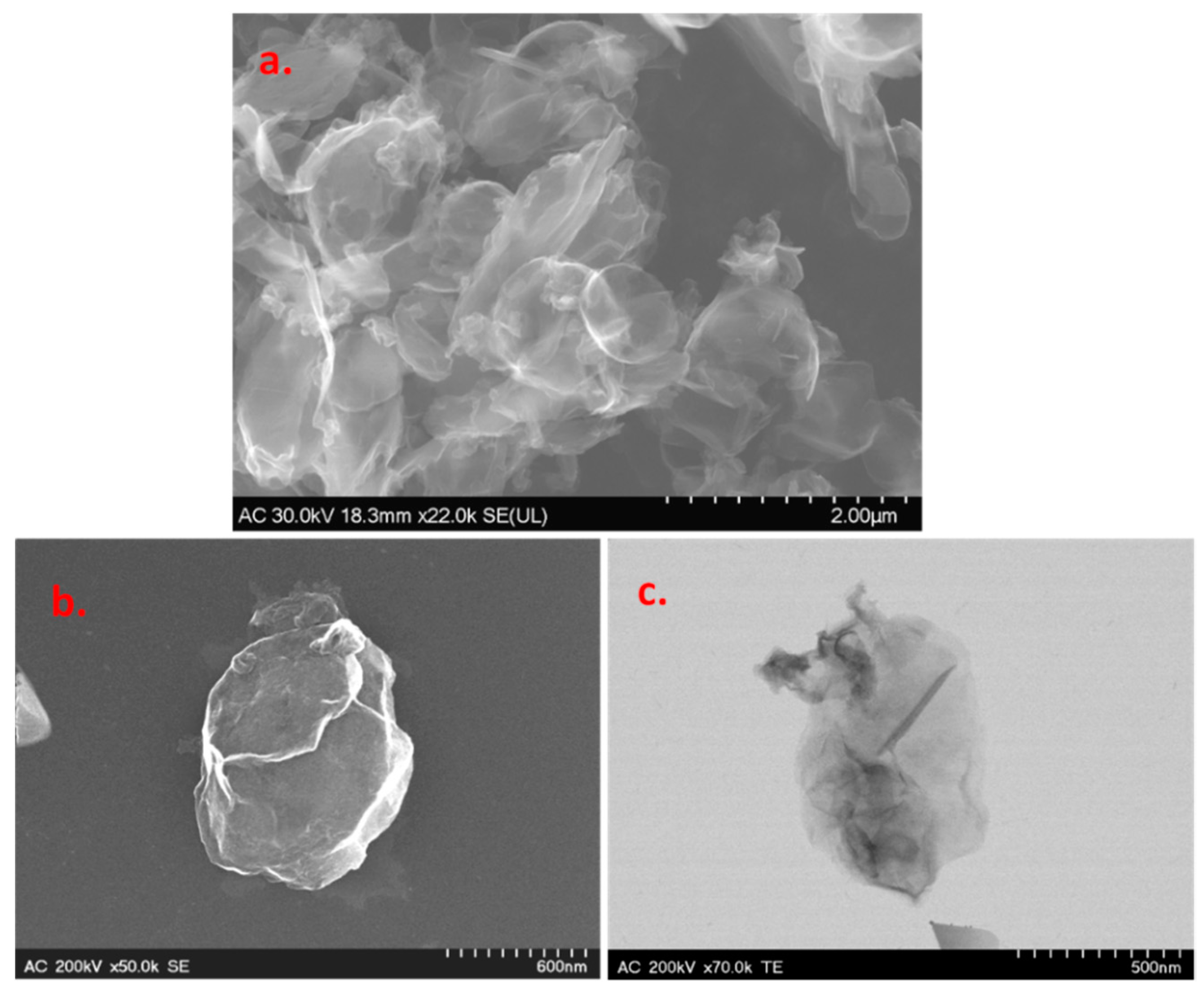 Biosensors 11 00036 g002 Biosensors 11 00036 g002