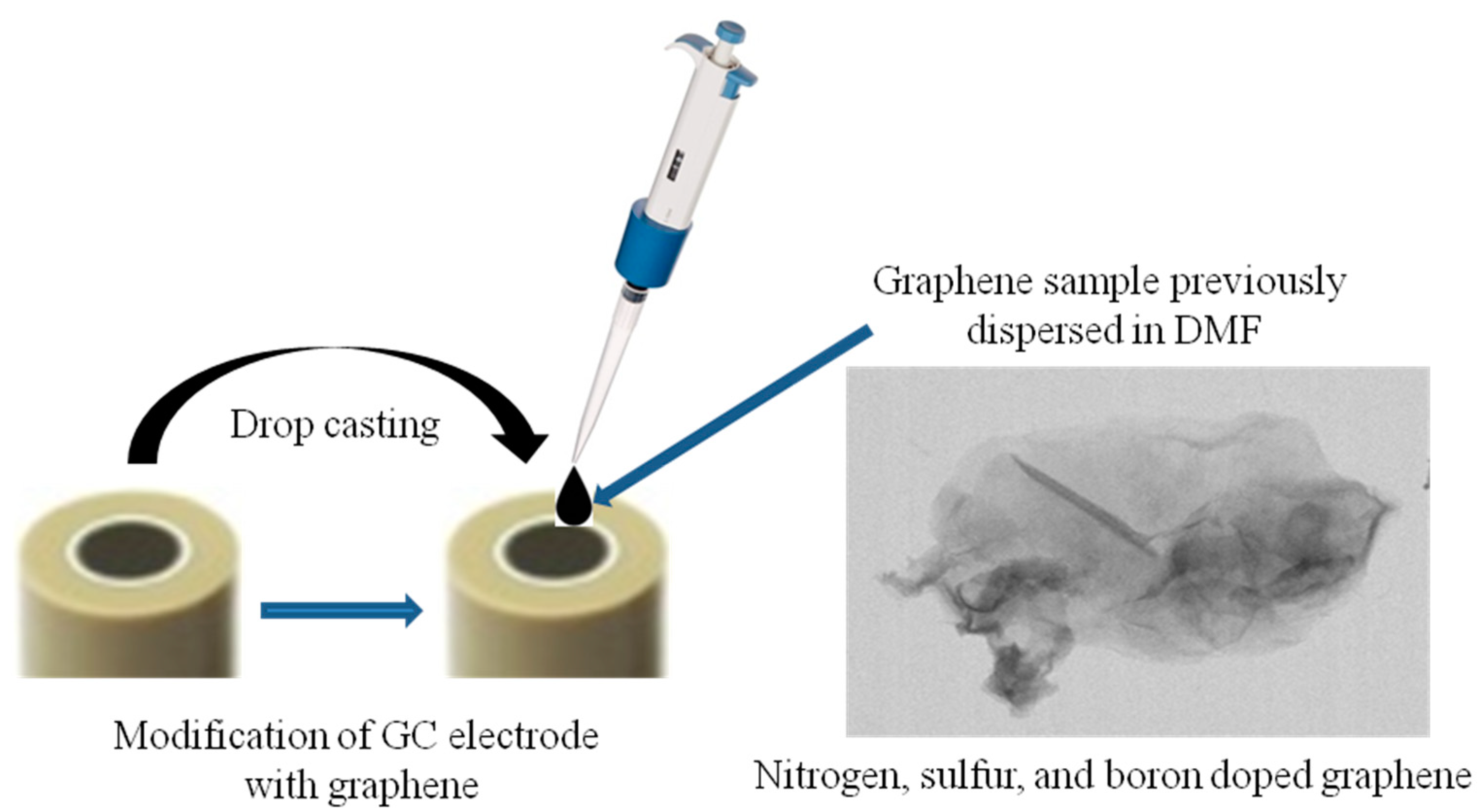 Biosensors 11 00036 sch001 Biosensors 11 00036 sch001