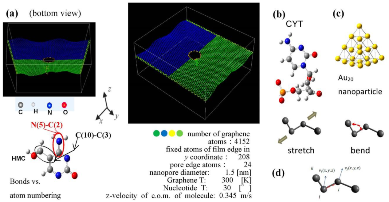 Assessing the Variability of Heavy Metal Concentrations in