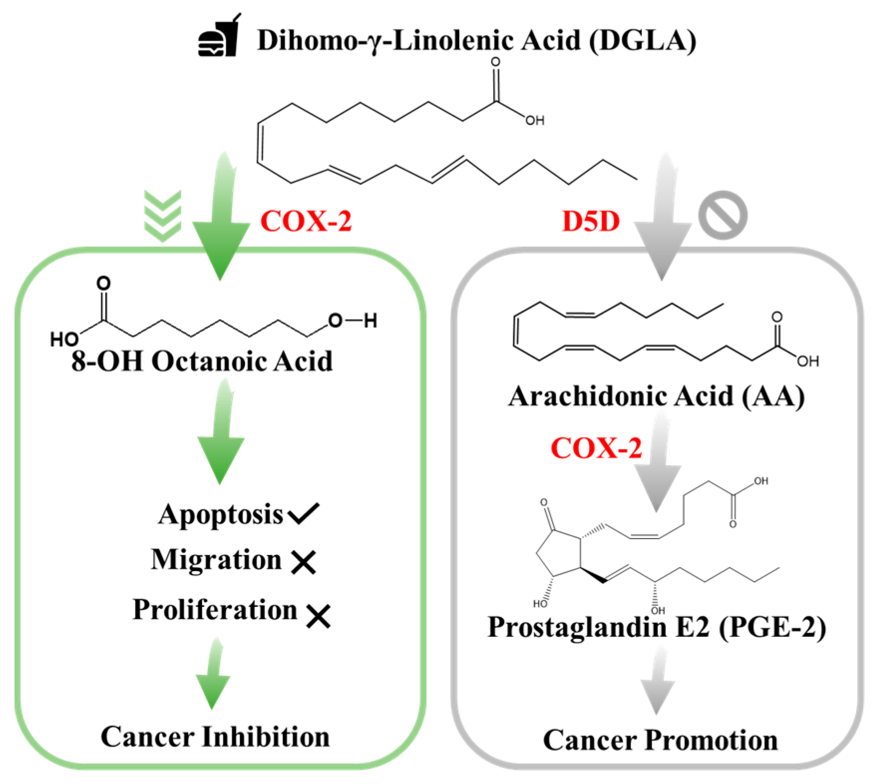 Biosensors 11 00040 g001