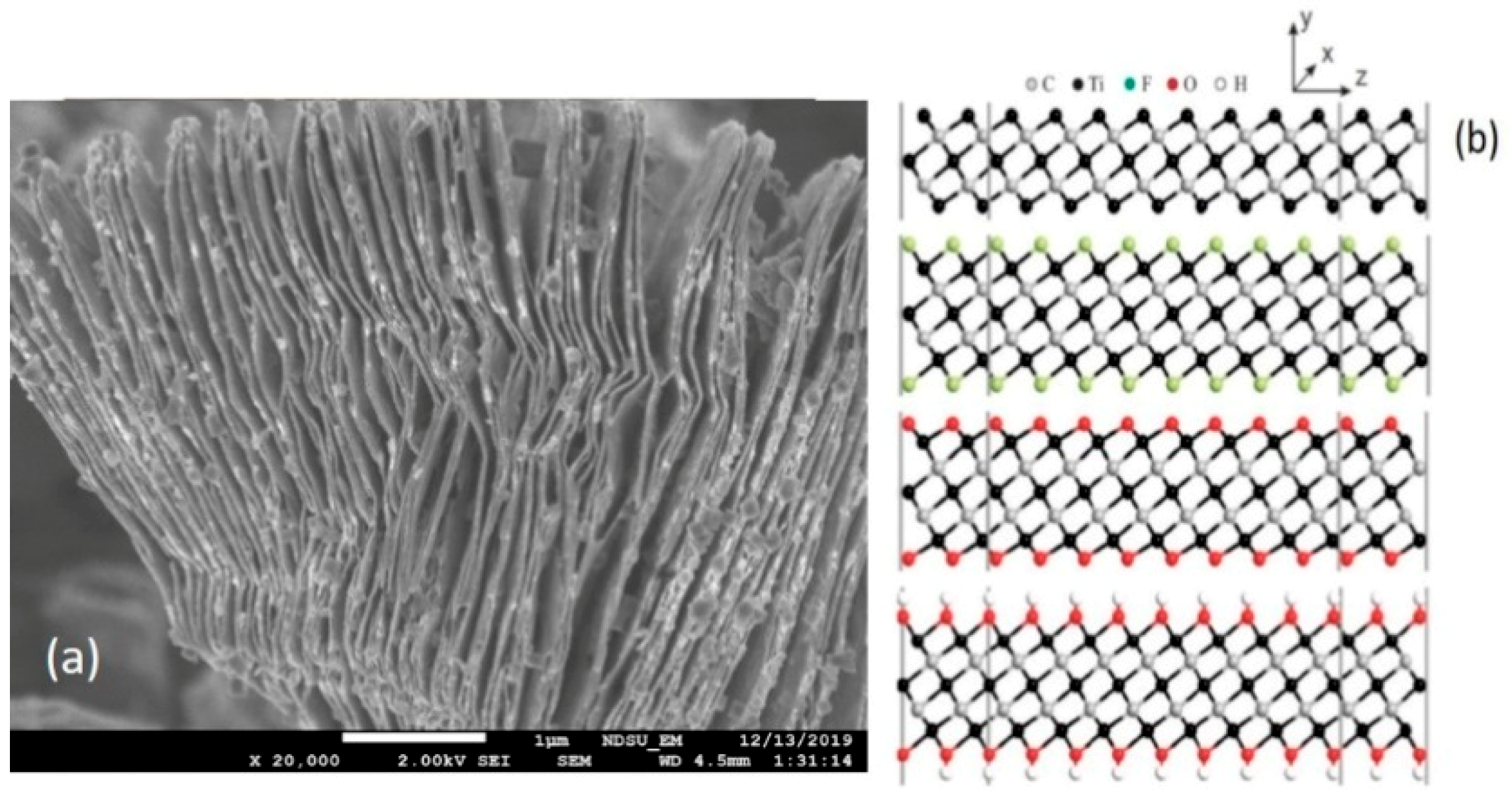 Biosensors 11 00040 g002