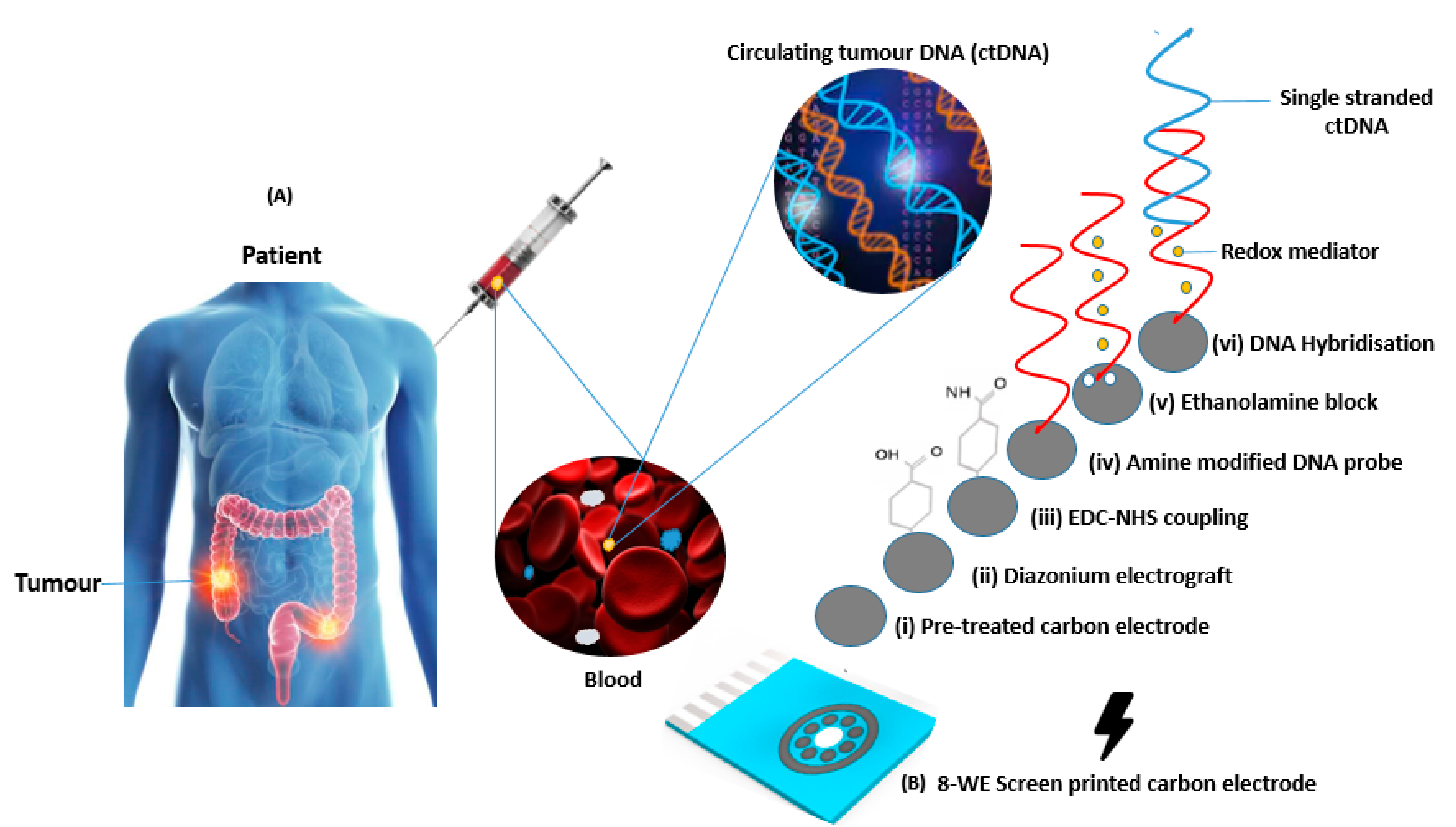 Biosensors 11 00042 g001 Biosensors 11 00042 g001