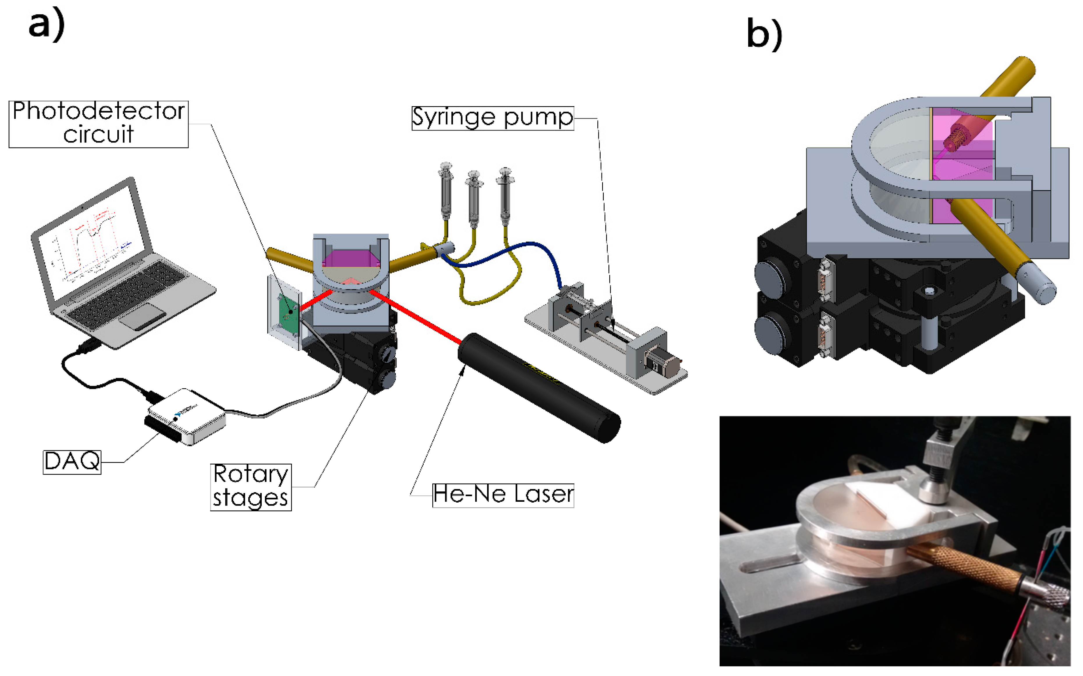 Biosensors 11 00043 g001 Biosensors 11 00043 g001