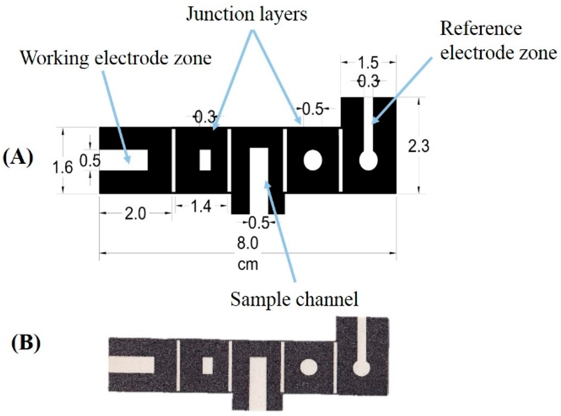 Biosensors 11 00044 g001 Biosensors 11 00044 g001