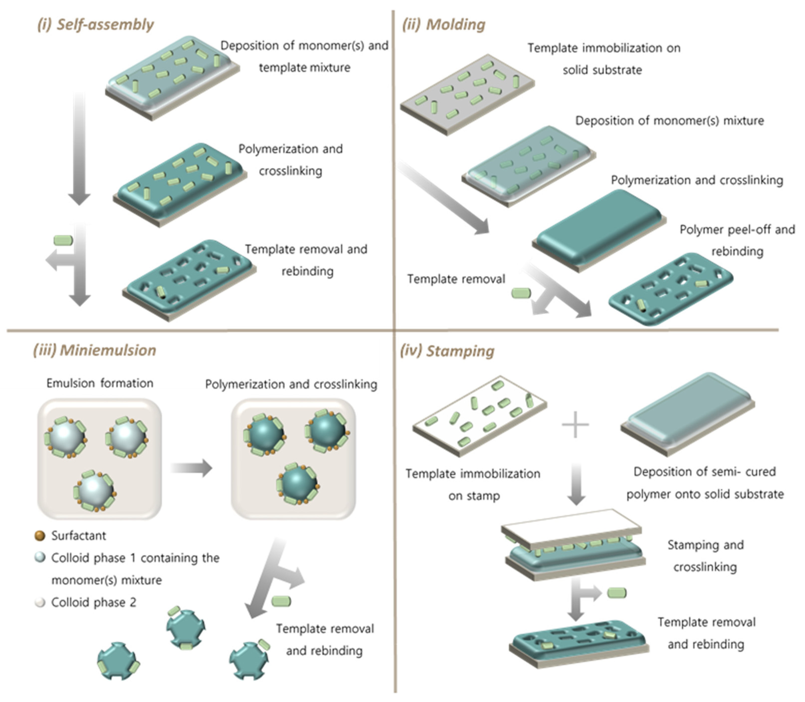 Biosensors 11 00046 g002 Biosensors 11 00046 g002