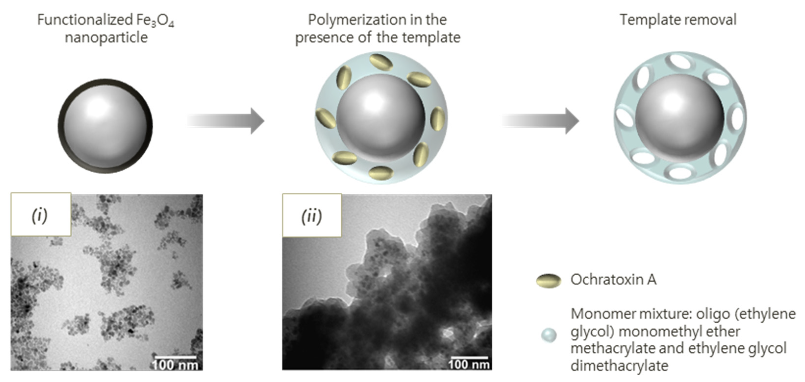 Biosensors 11 00046 g003 Biosensors 11 00046 g003