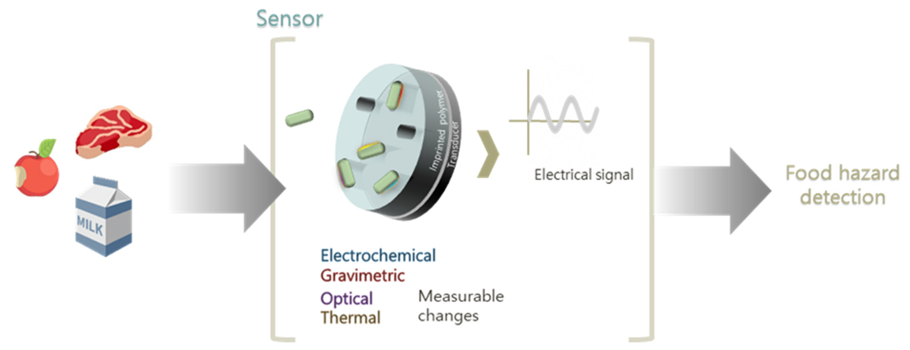 Biosensors 11 00046 g007 Biosensors 11 00046 g007
