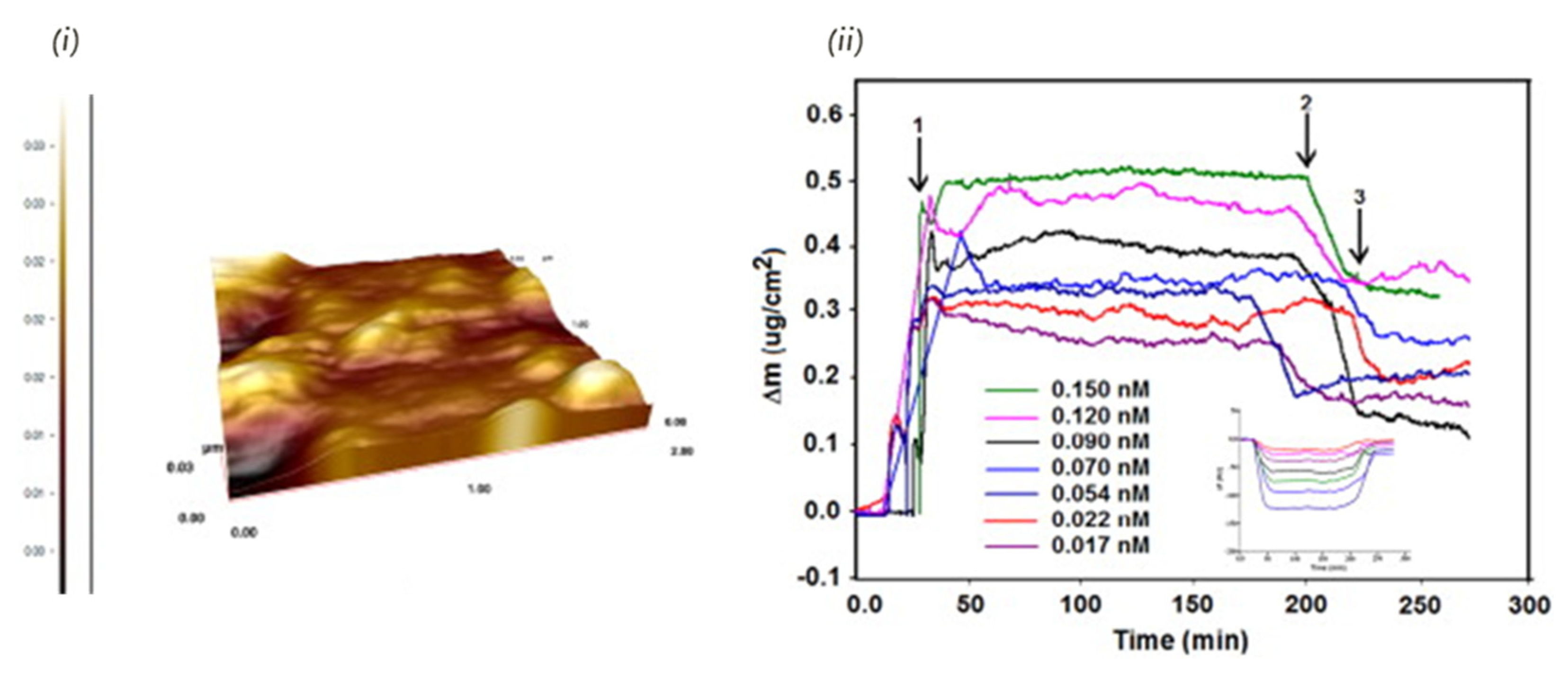 Biosensors 11 00046 g009 Biosensors 11 00046 g009